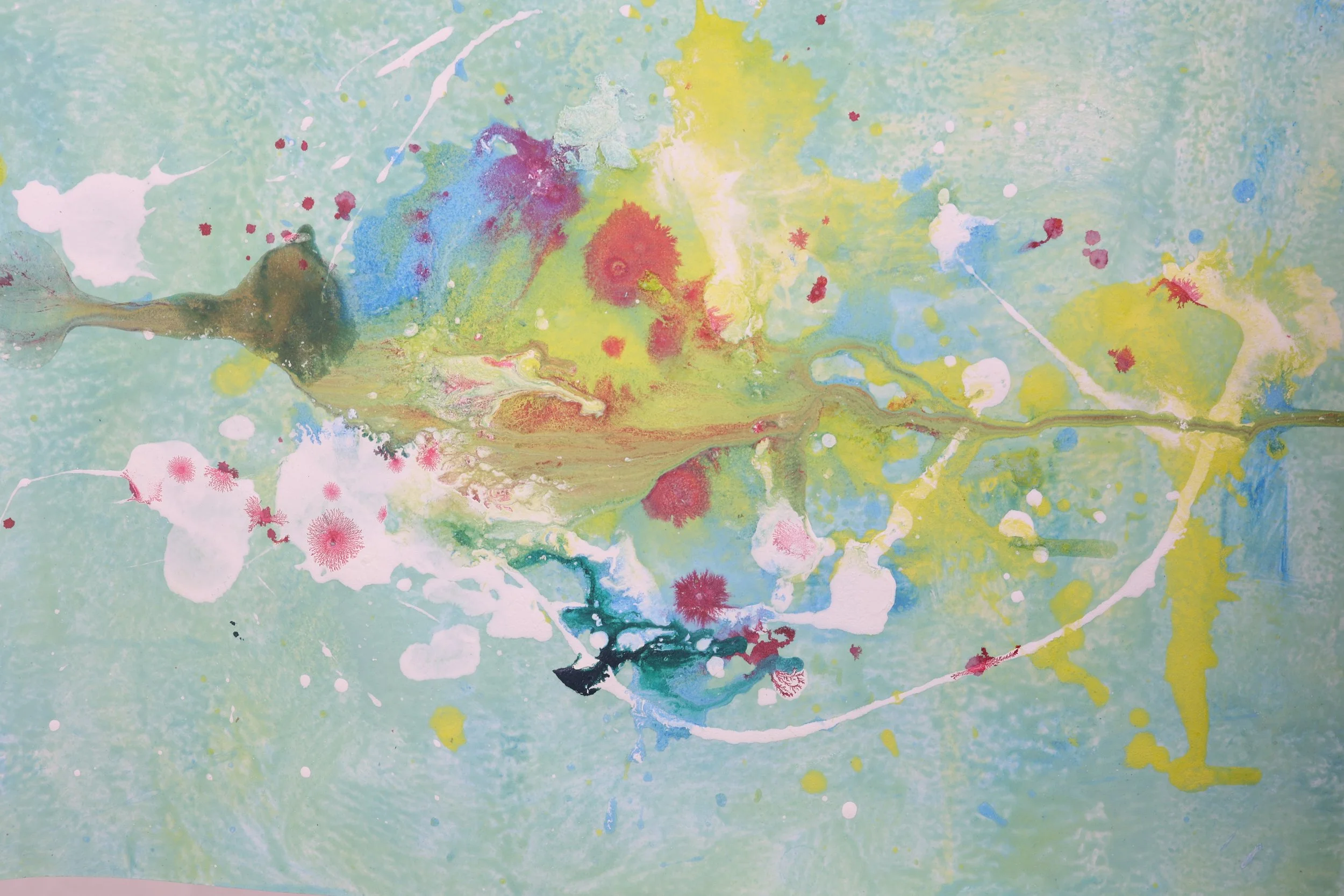 Fortitudo Nr.99 Code Yr.2023