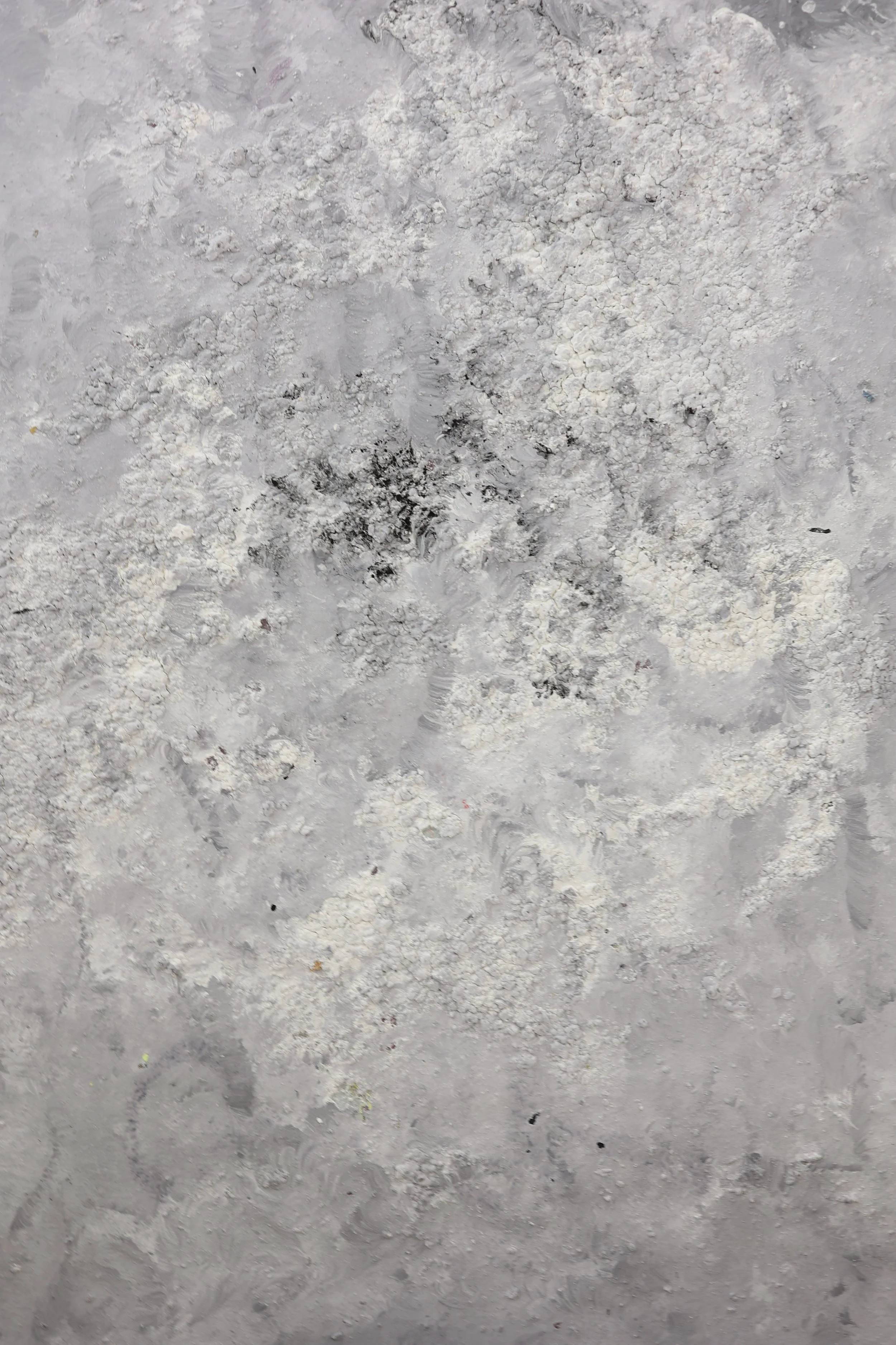 Fluit Nr. 24 Code 56/55 Yr. 2026