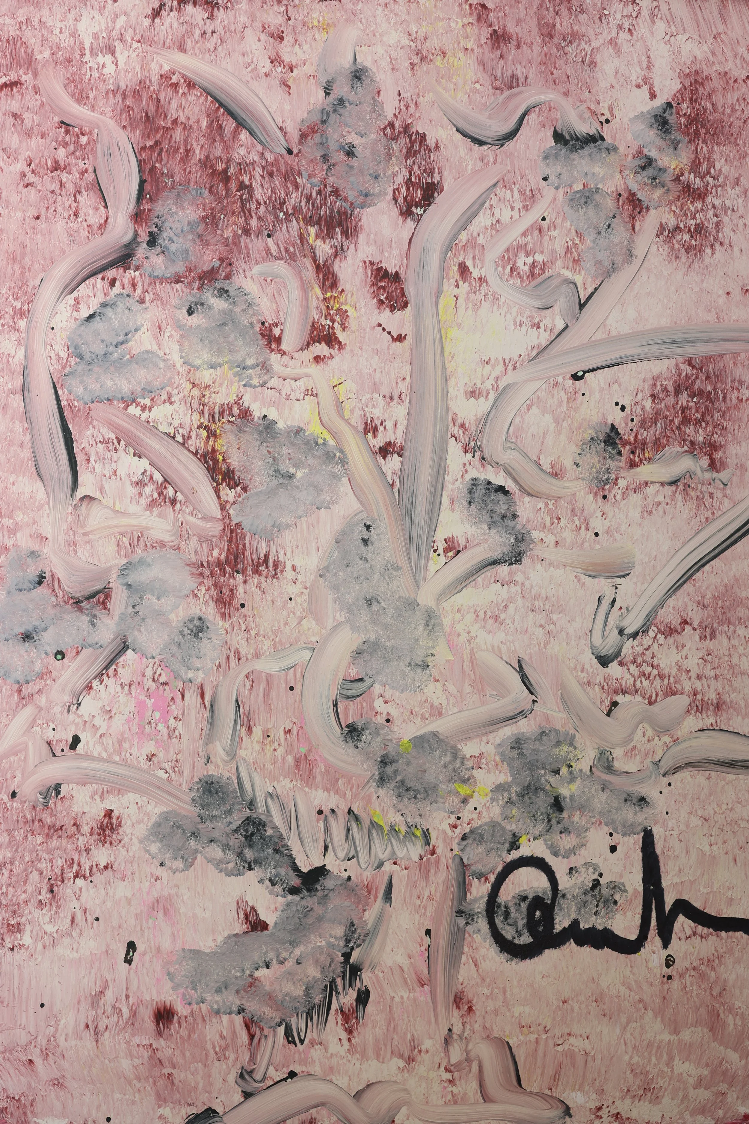 Veritas Nr.24 code 17/16 Yr.2024