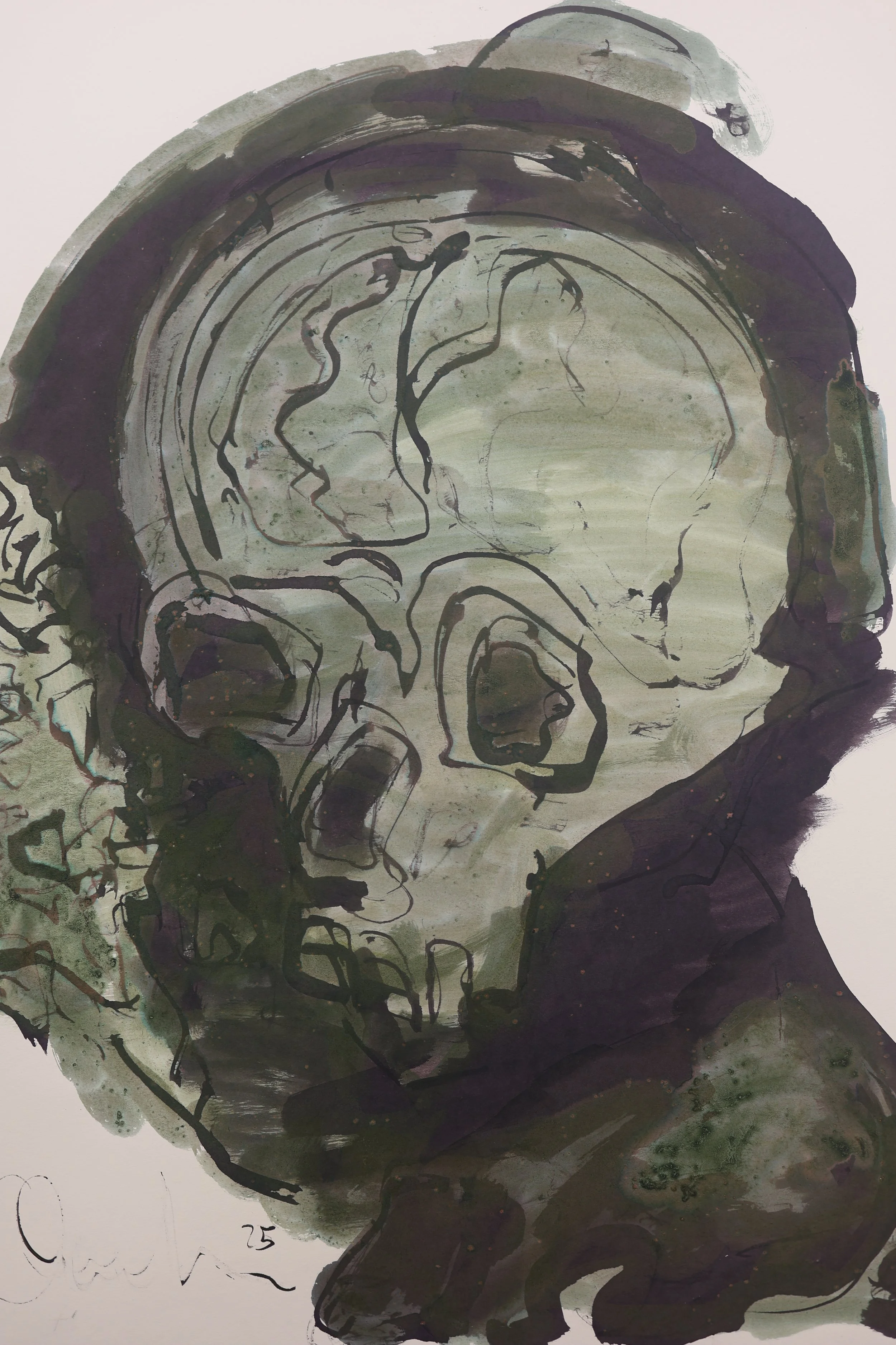 Cranio nr. 15 Code 6/3 Yr.2025