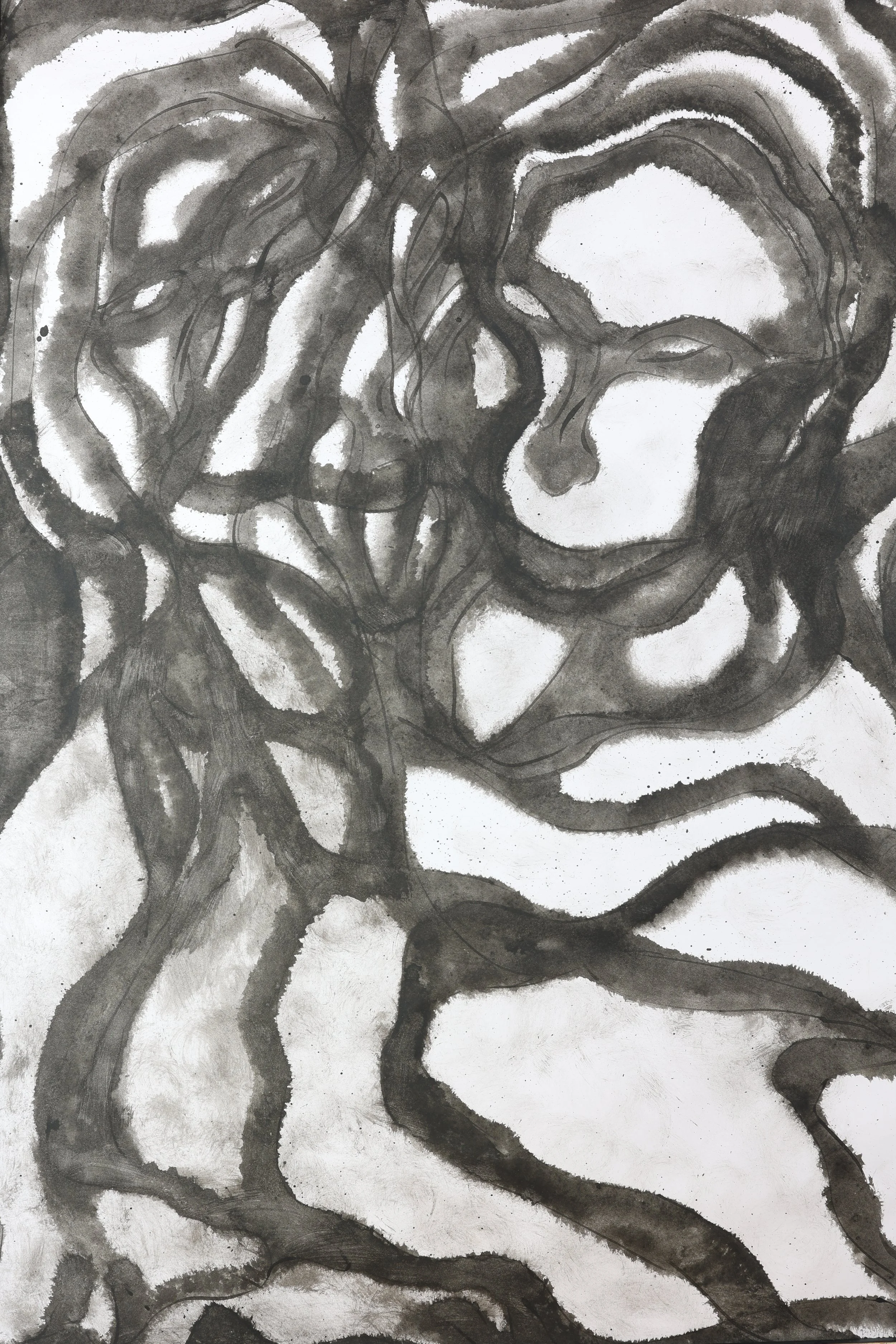 Infer,mum Nr.11 Code 62/63 Yr.2023