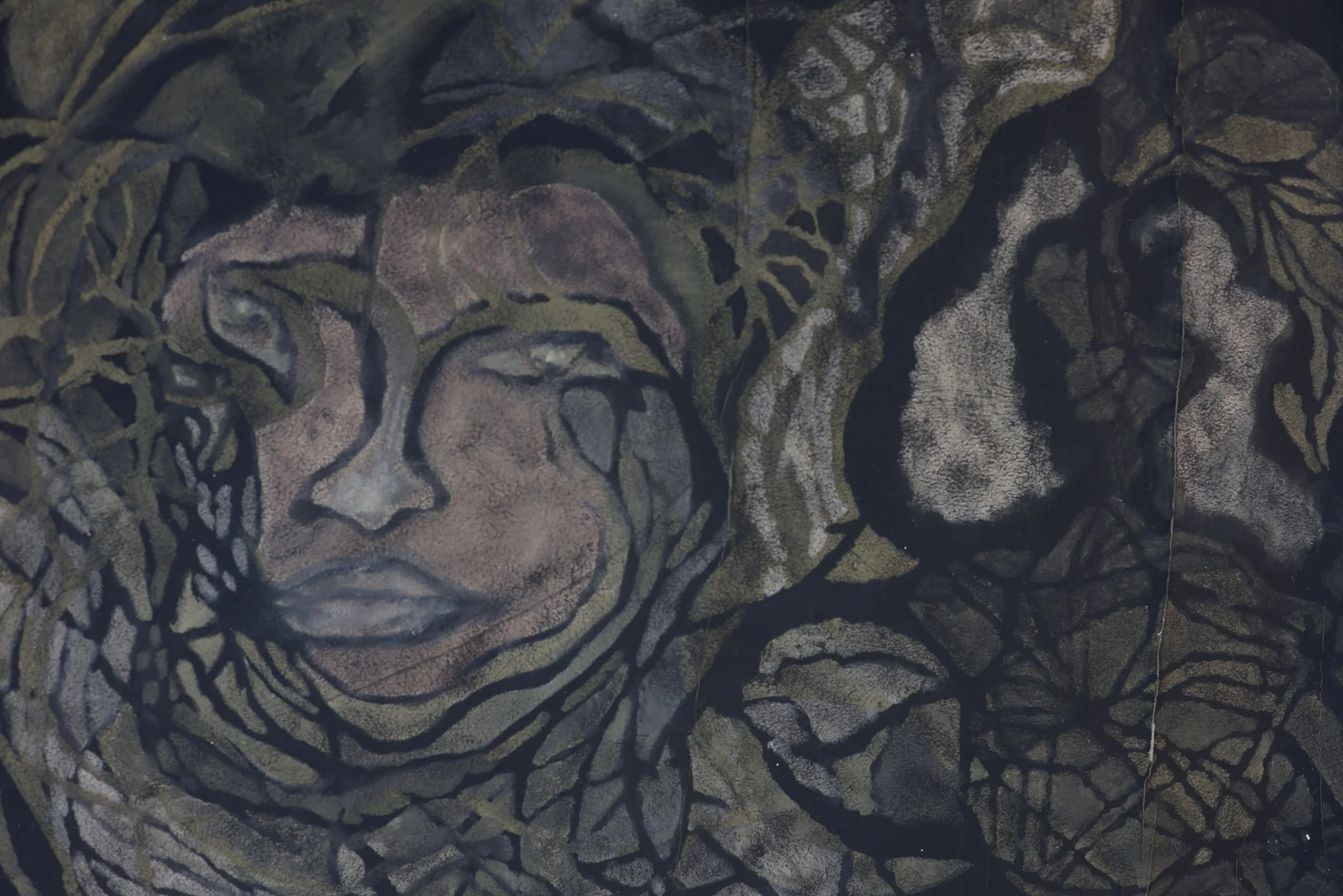 Feddon  nr.24 code 77/76 Yr.2019