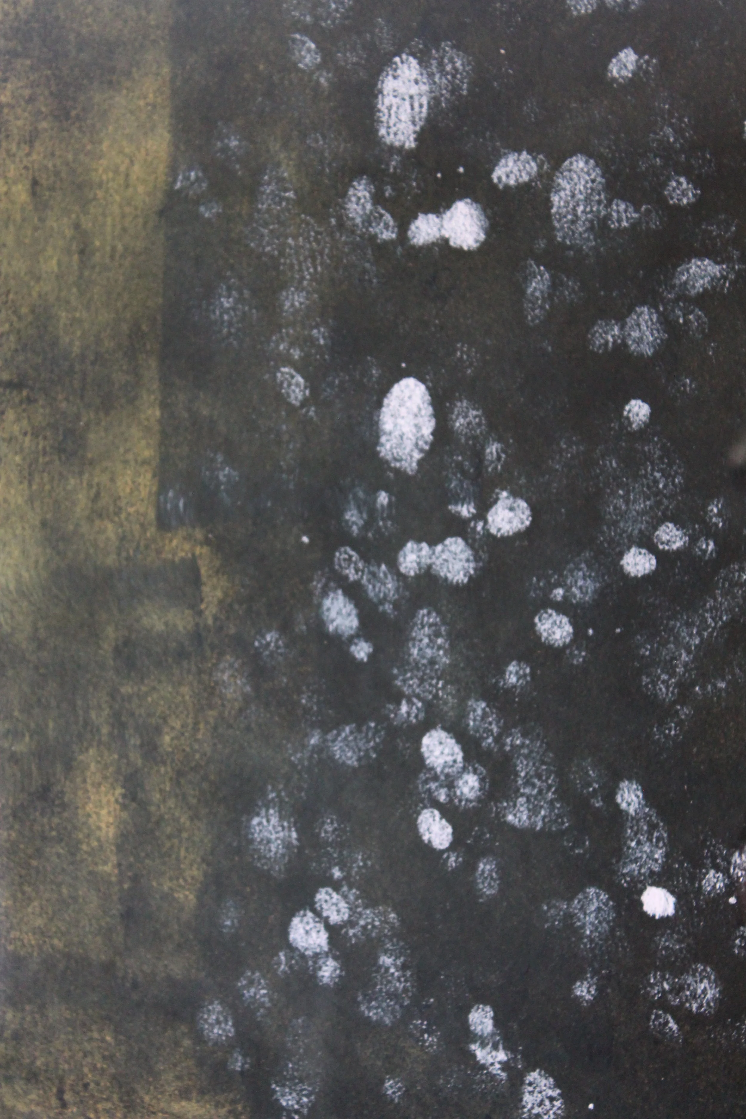 Spiritus flexion Nr.67 Code 31/30 Yr.2019