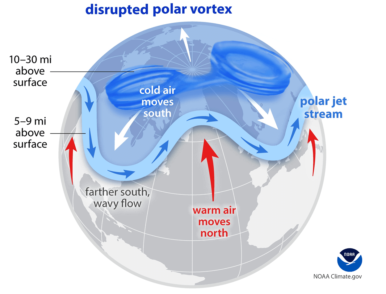 All About the Polar Vortex!