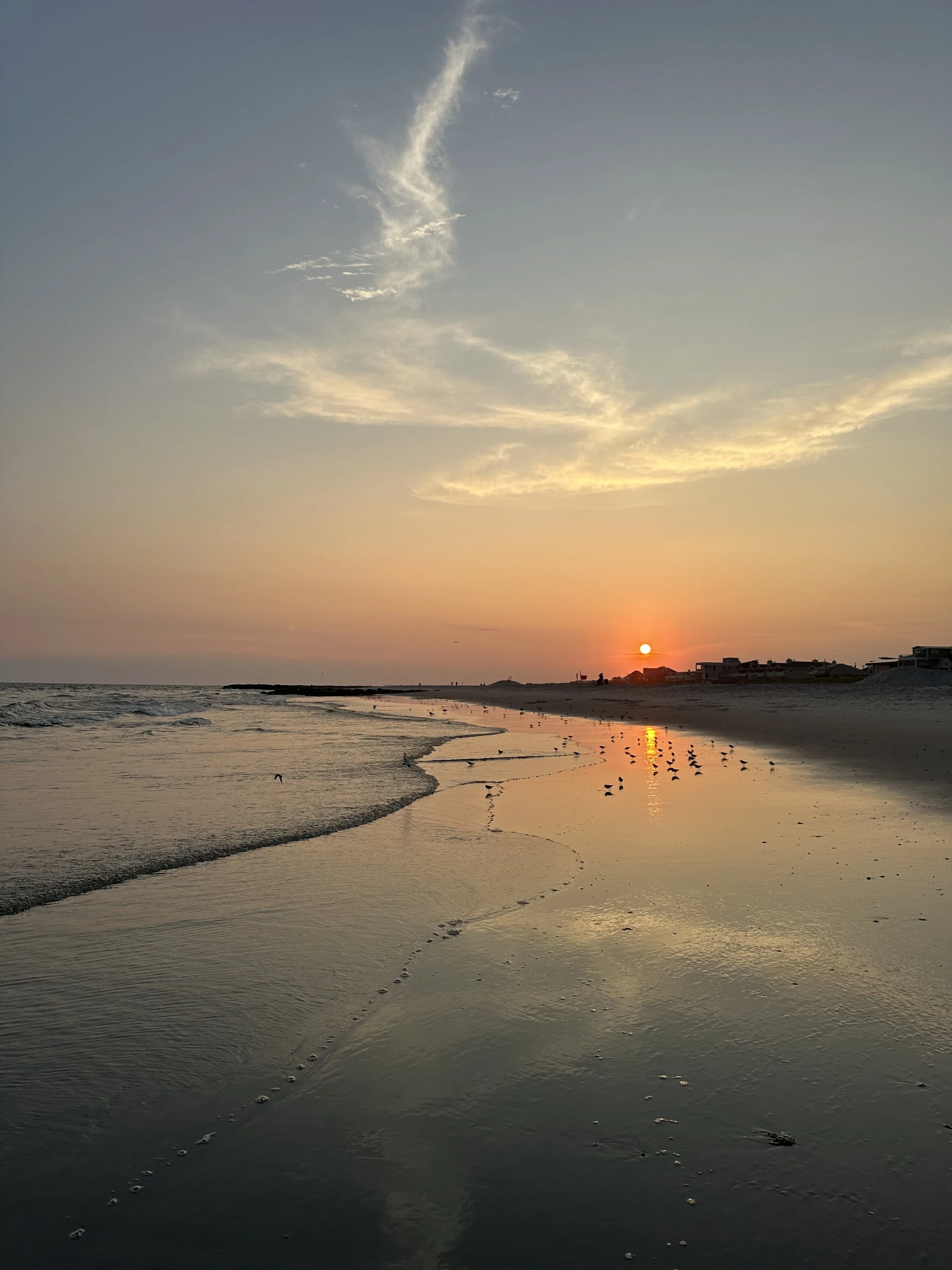 Sunset over a beach with calm water, footprints, and birds, with houses in the background.