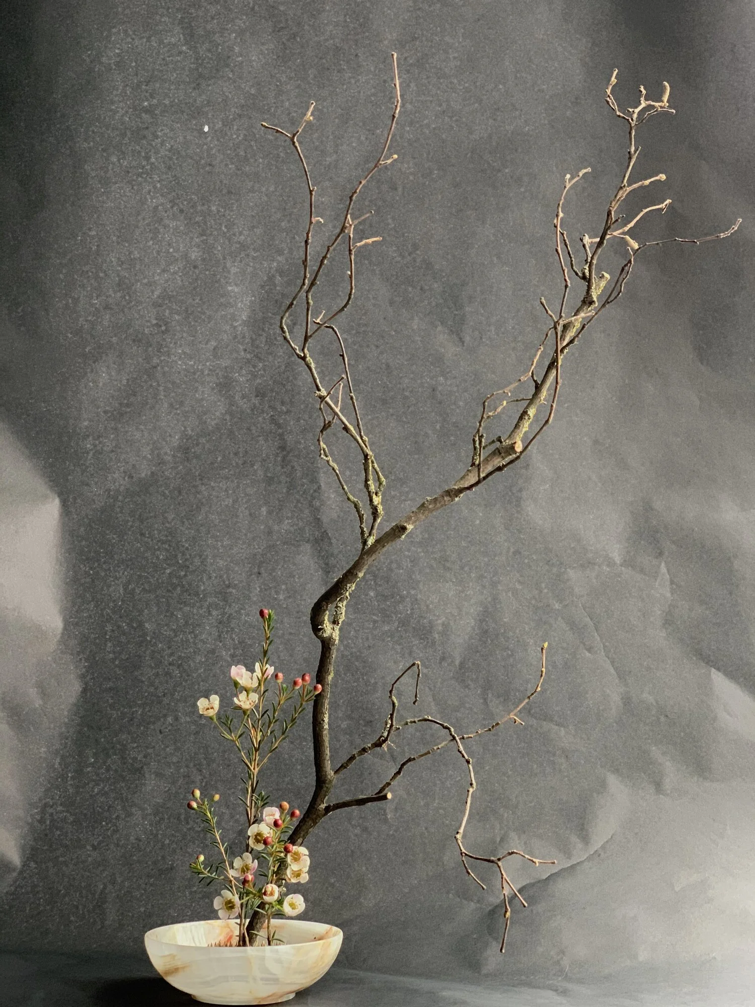 branch+pic.jpg