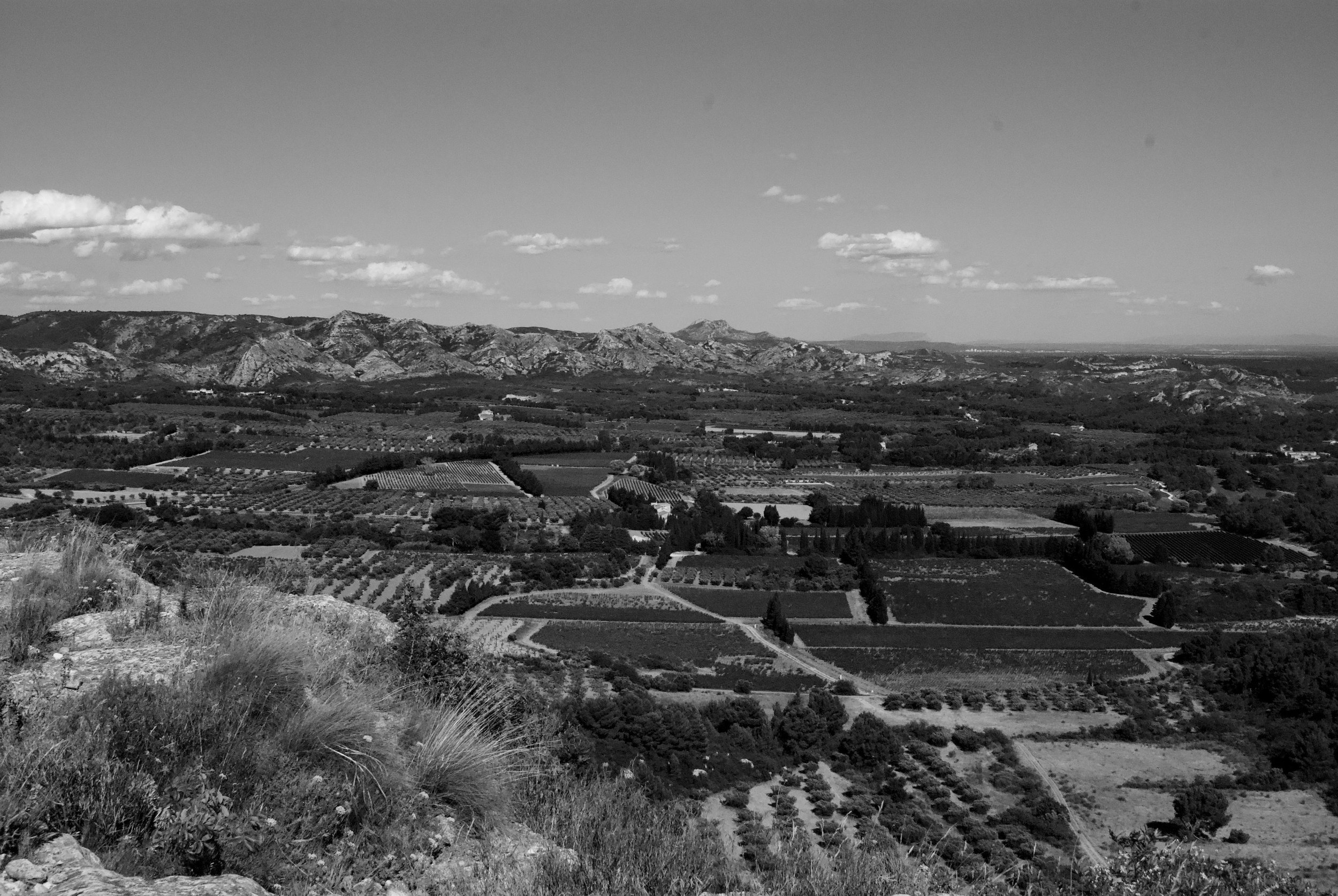 DSC_0593.jpeg