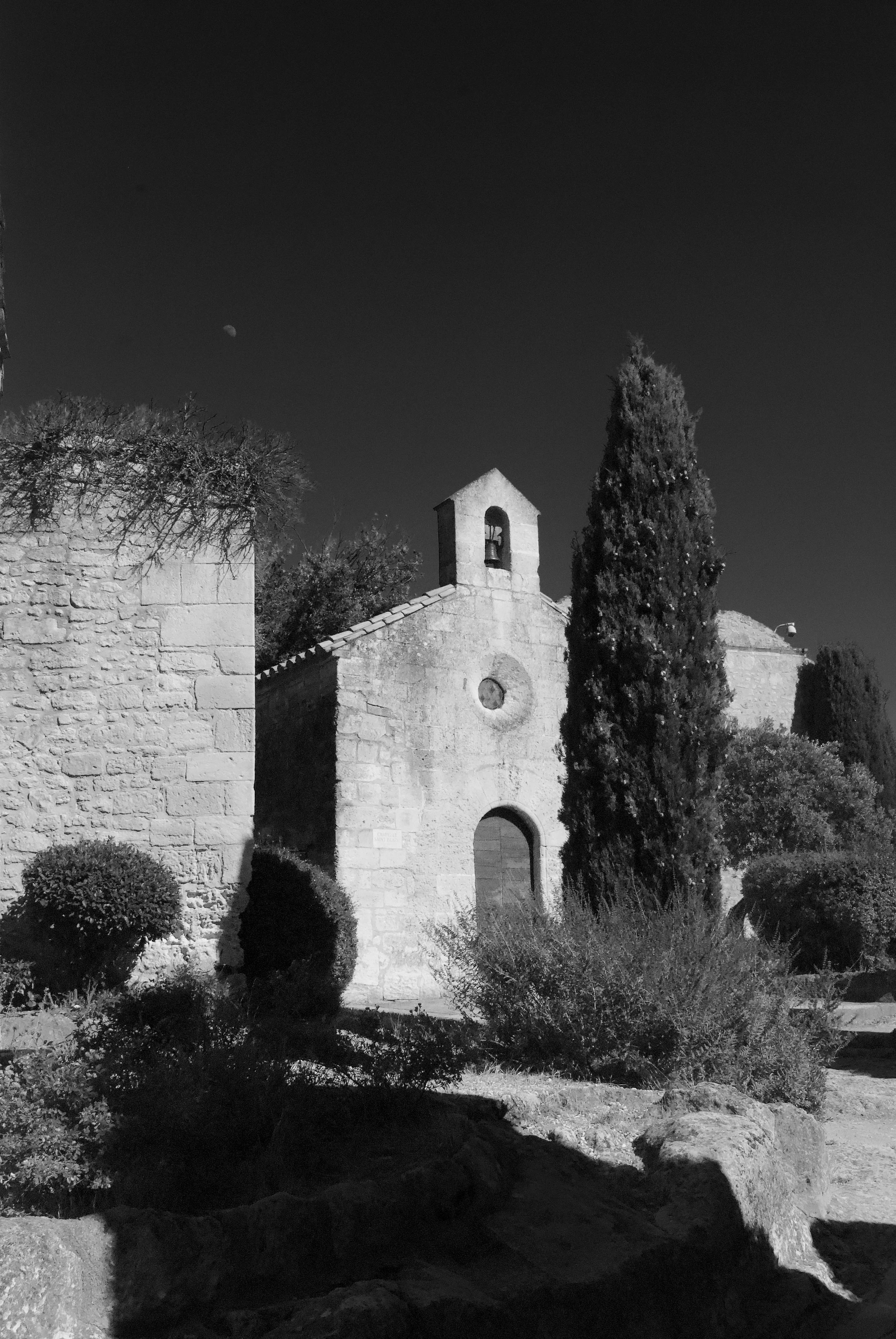 DSC_0618.jpeg