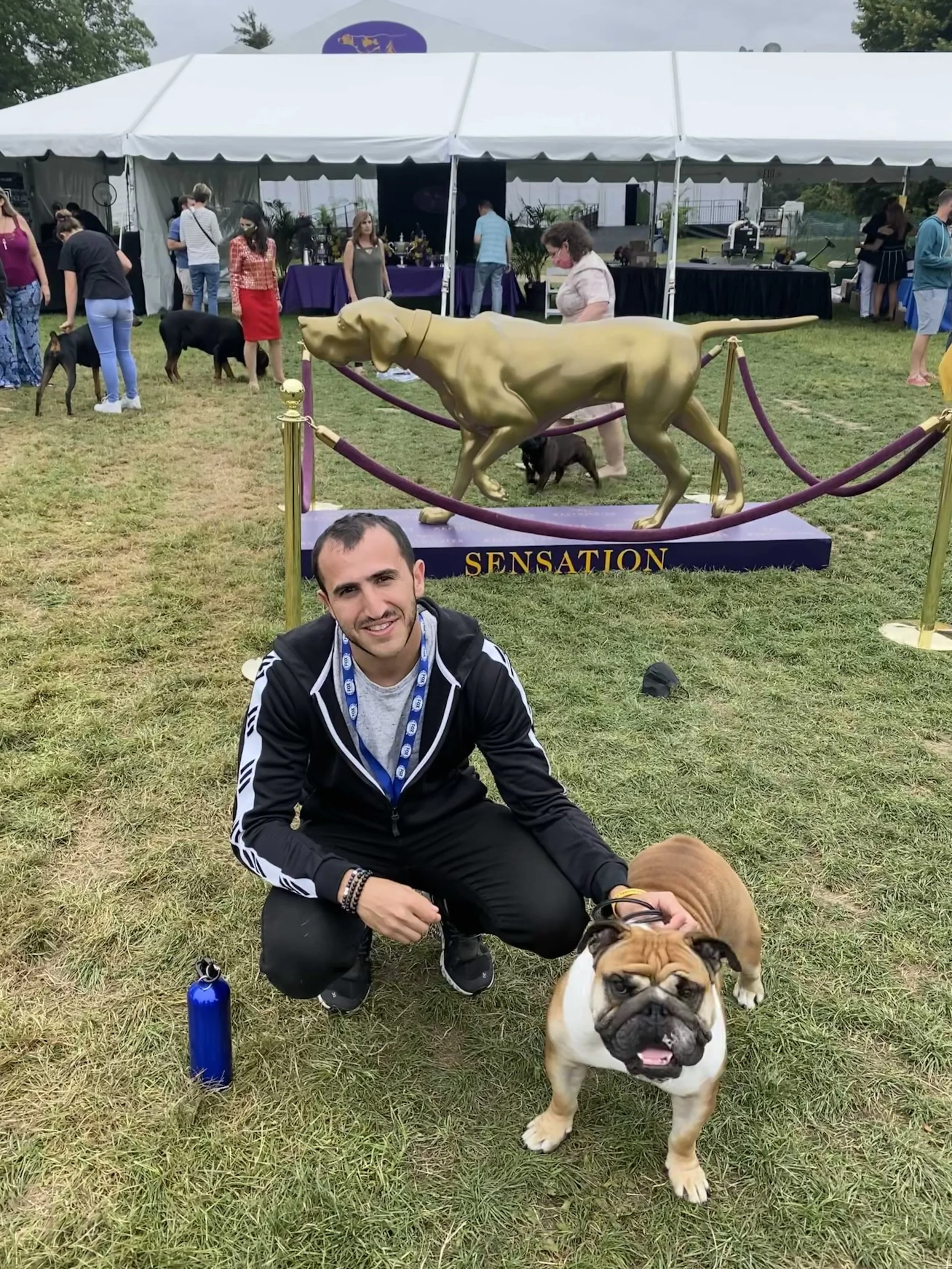 A man kneeling on the grass with a bulldog wearing glasses, smiling at the camera. In the background, there is a large golden dog sculpture with a sign that says 'SENSATION' and a white event tent with several people and other dogs walking around.