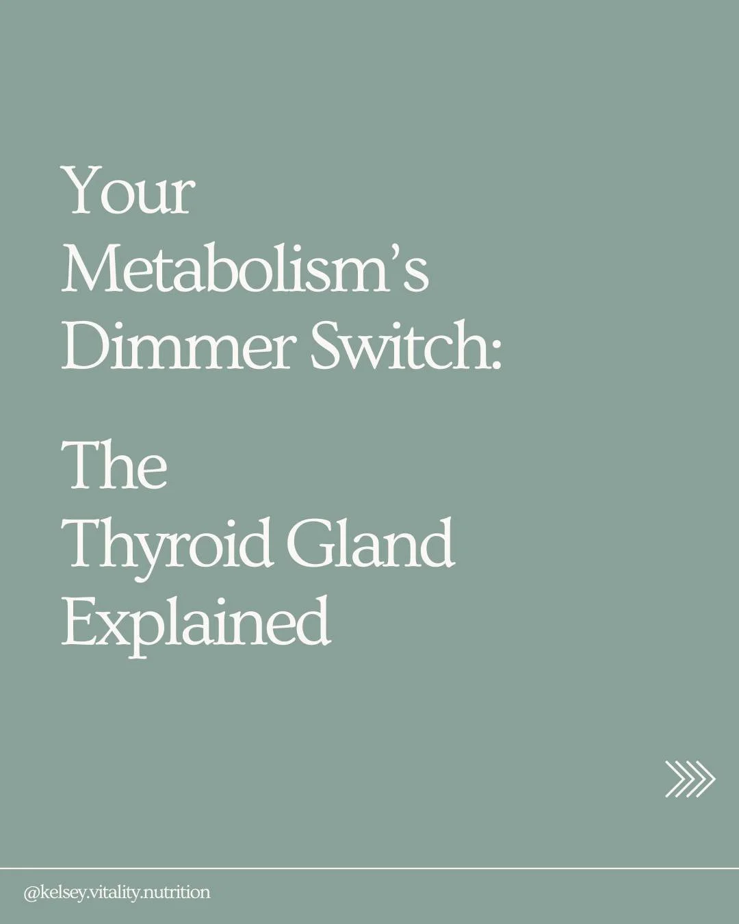Your thyroid gland, shaped like a small butterfly at the base of your neck, is one of the body&rsquo;s primary regulators of energy and metabolism. Think of it as your internal dimmer switch. When it is turned up, your cells produce energy efficientl