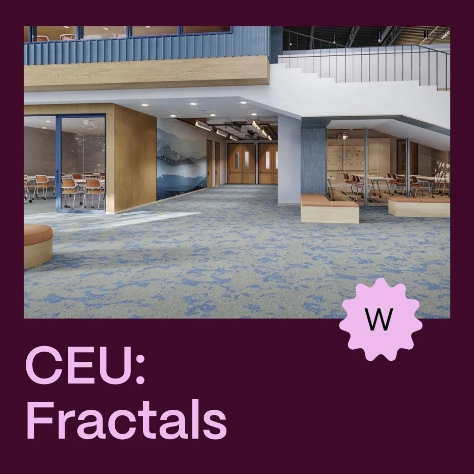 In Person CEU: Fractals