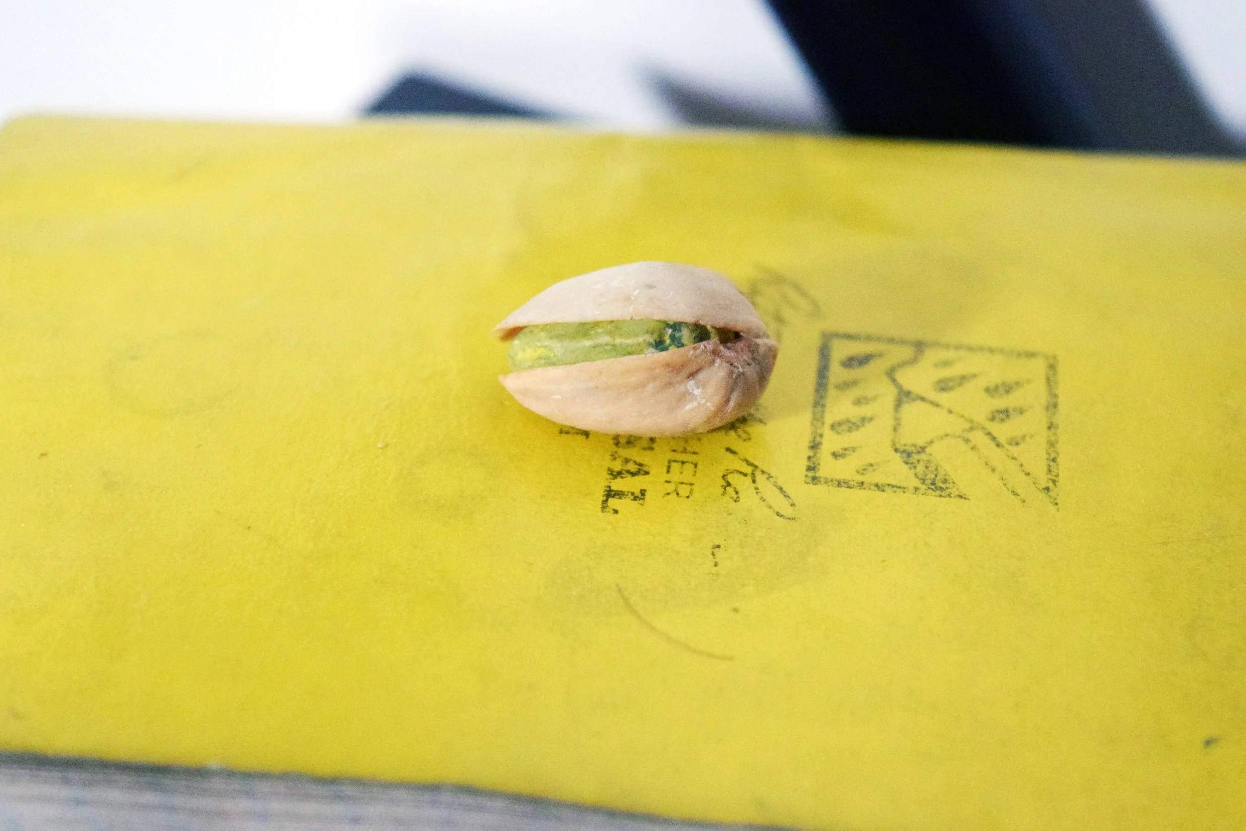 A Strange Distance_Pocket Notebook Pistachio.jpg