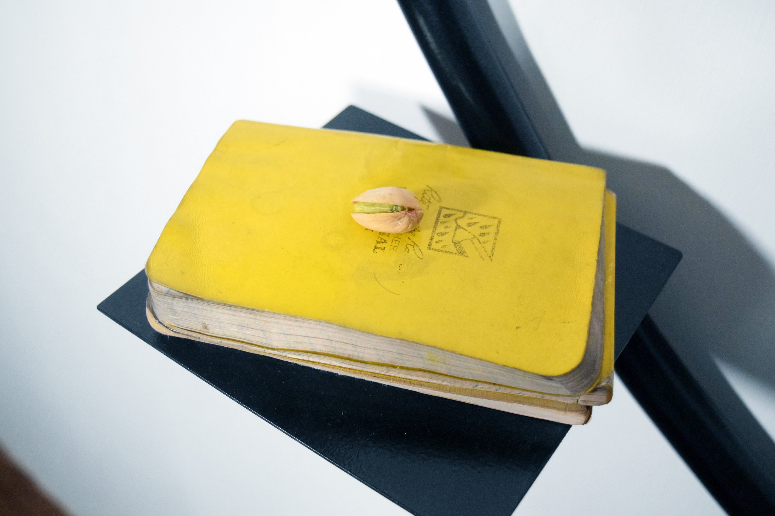 A Strange Distance_Pocket Notebook.jpg
