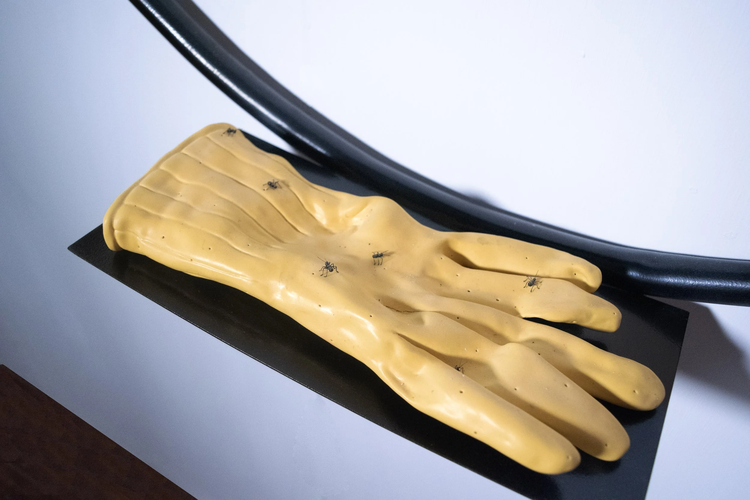 A Strange Distance_Porcelain Latex Glove.jpg