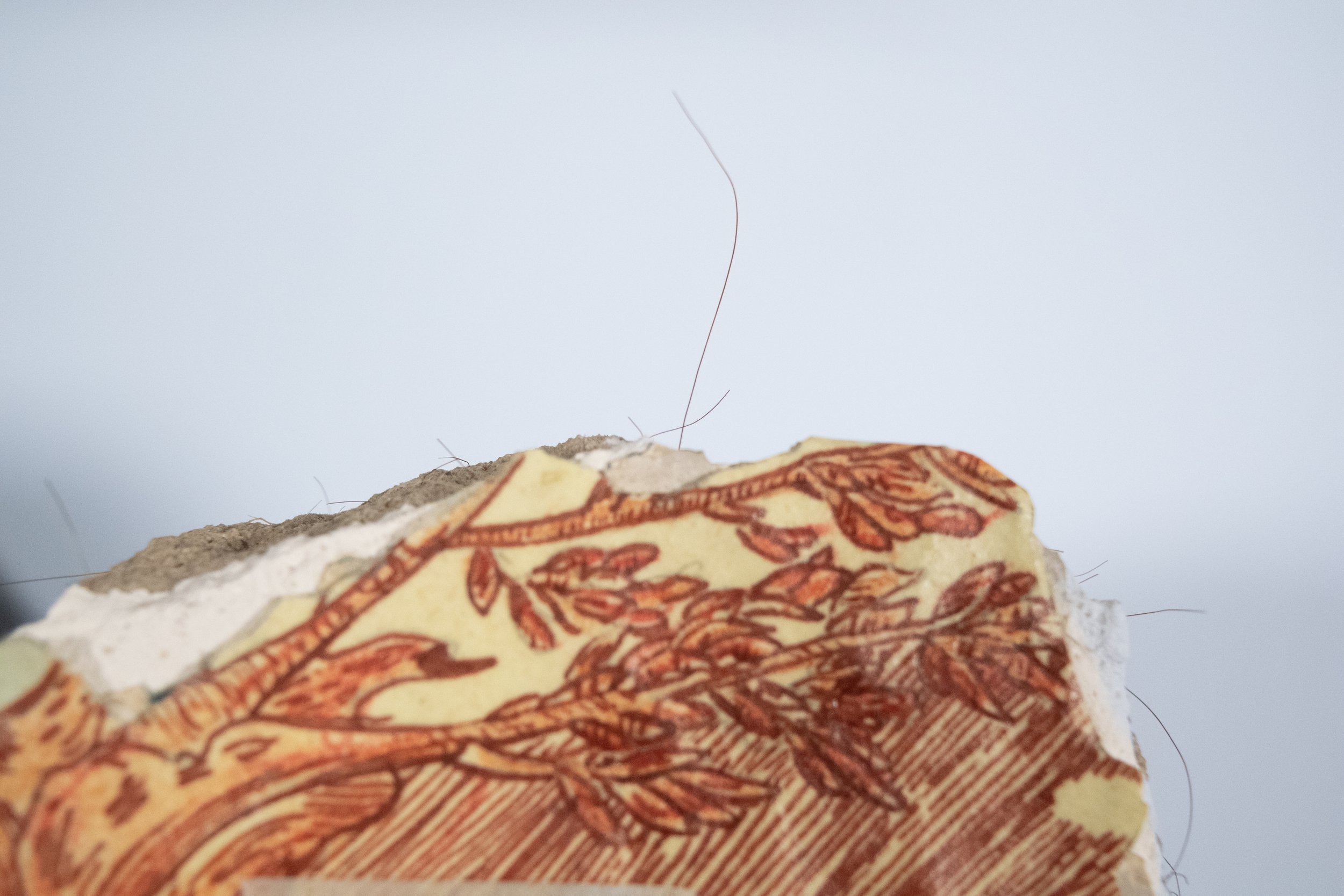A Strange Distance_Wall Hair.jpg