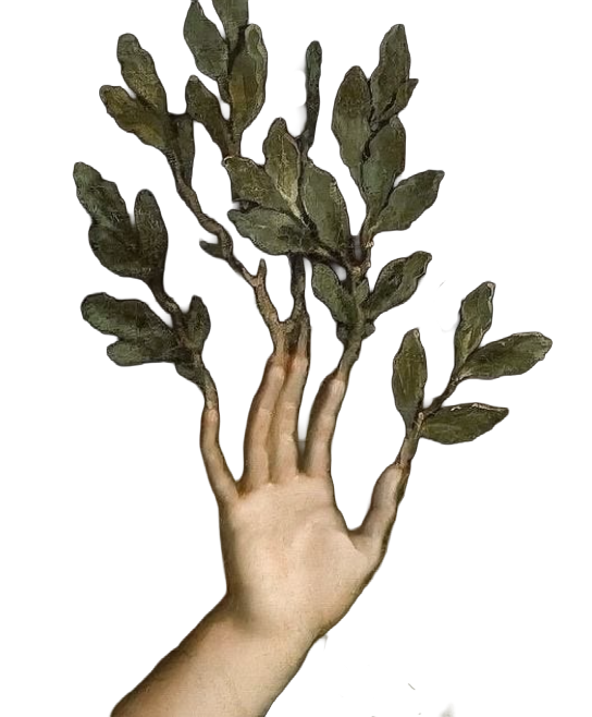 fa