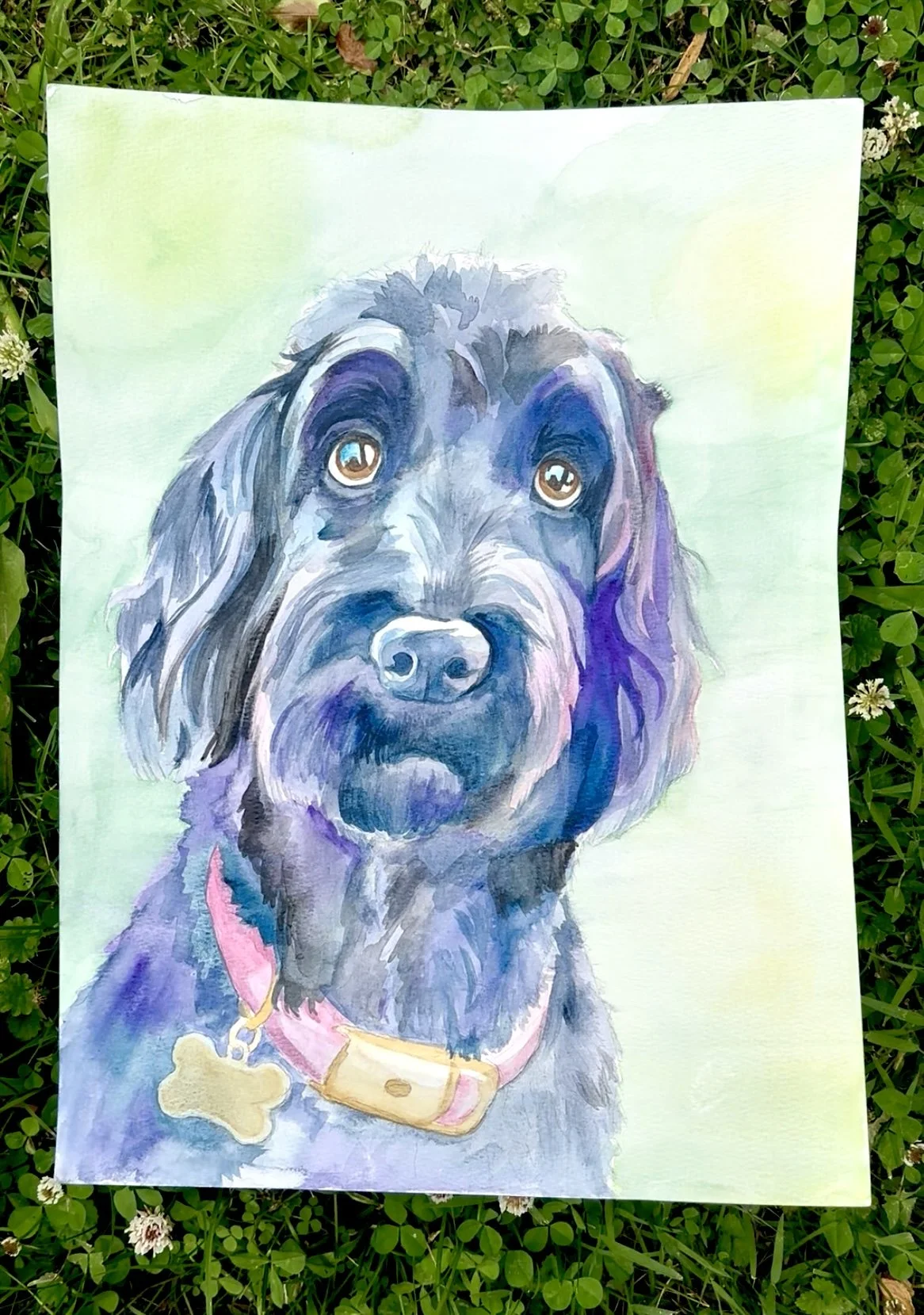 A colorful watercolor painting of a black dog with brown eyes, wearing a pink collar with a bone-shaped tag, resting on green grass with small white flowers.