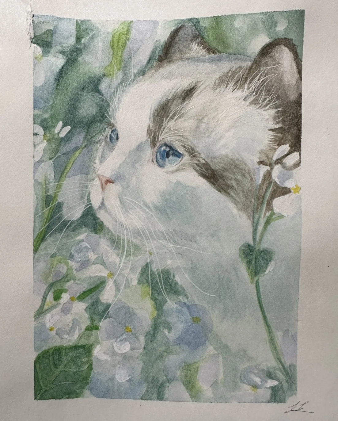 Watercolor painting of two cats with blue eyes facing each other among white flowers and green leaves.
