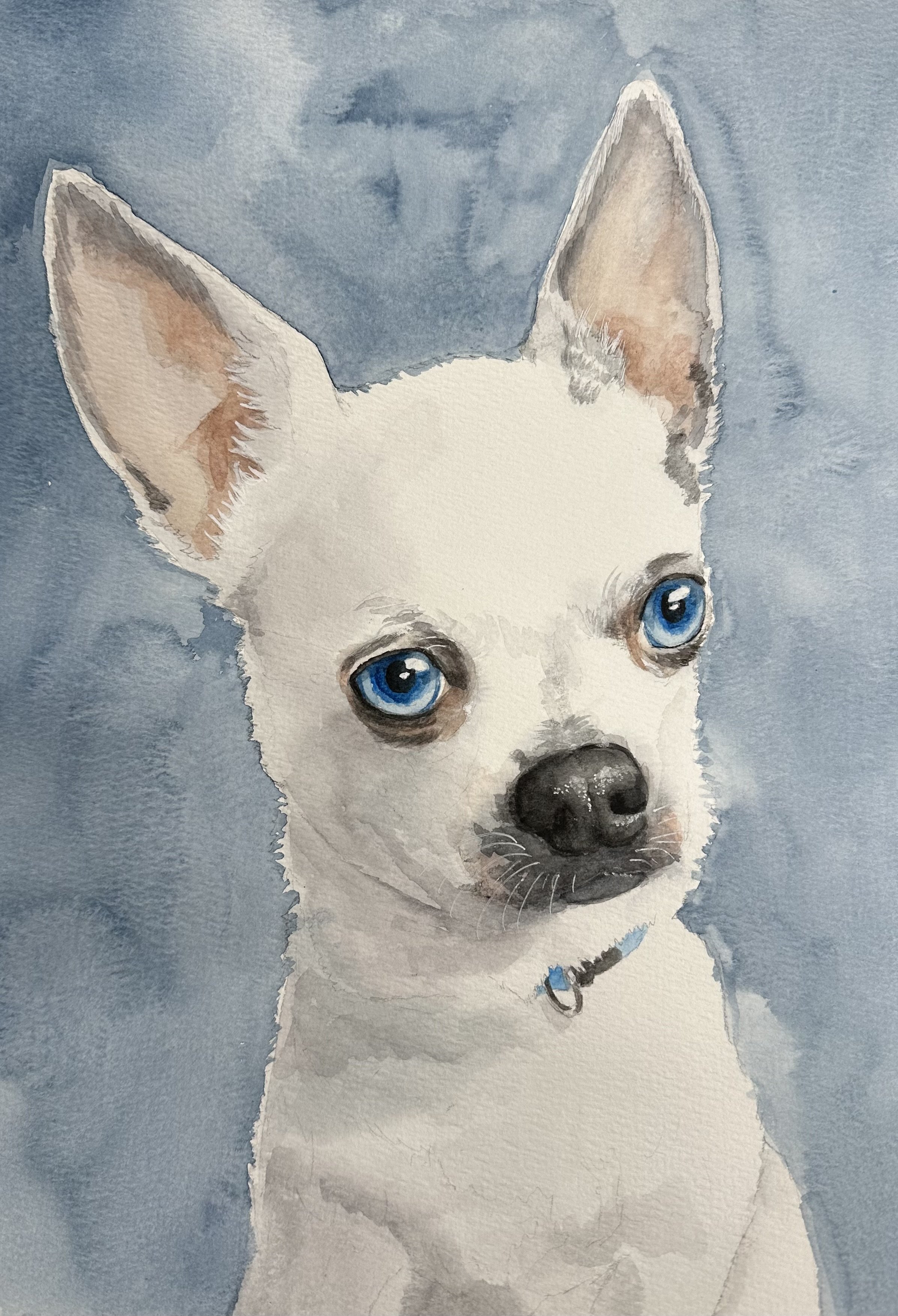 A watercolor painting of a white puppy with blue eyes, standing against a blue background.
