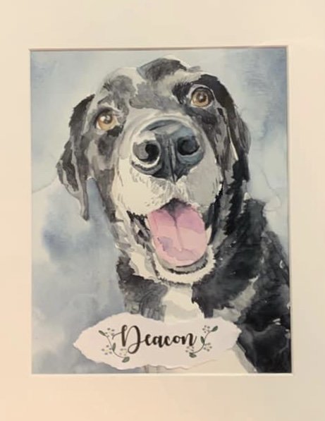 A watercolor portrait of a happy black and white dog with its tongue out, with the name 'Dacun' written on a decorative banner at the bottom.
