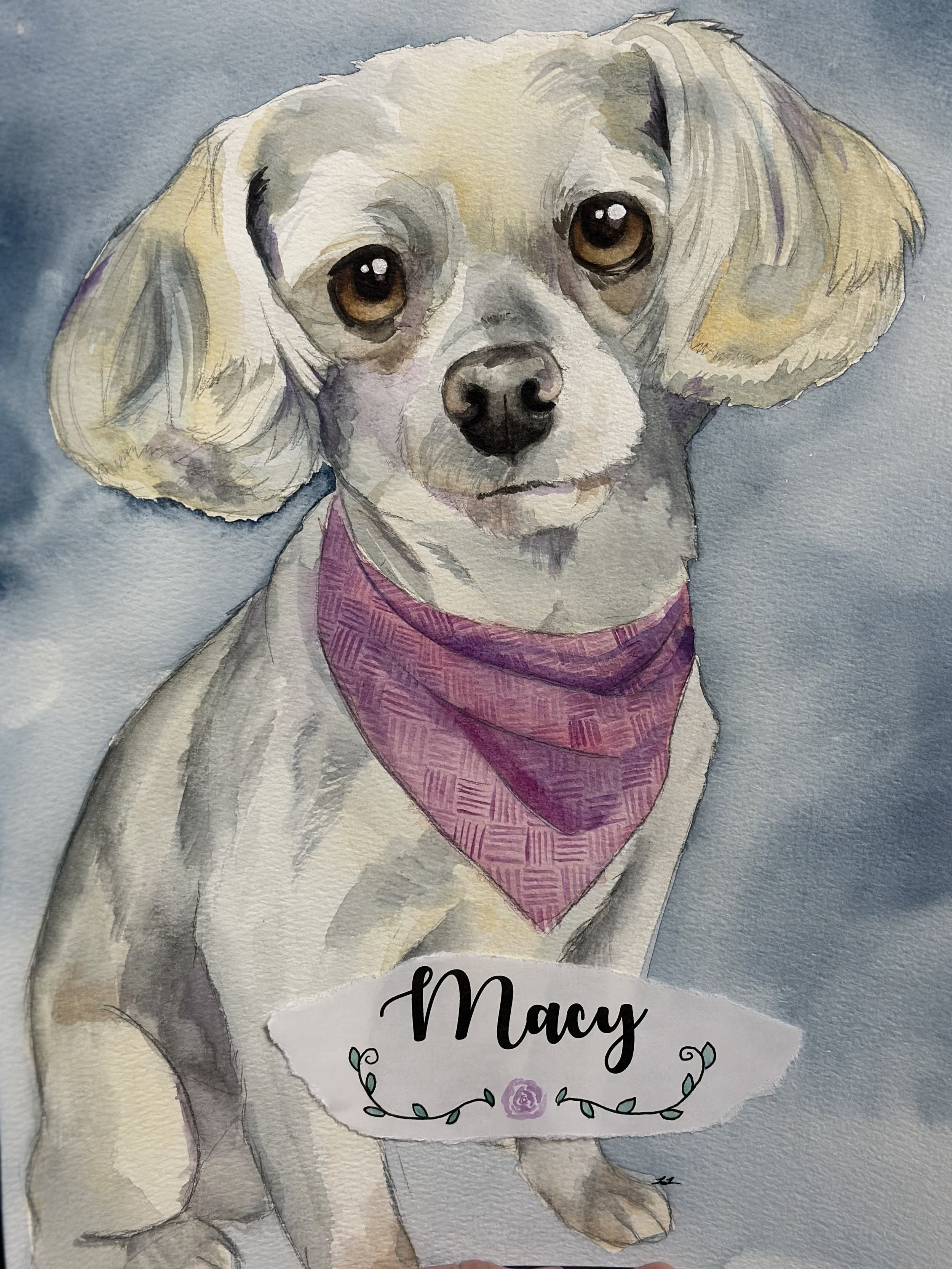 Watercolor painting of a small, light-colored dog with large, expressive brown eyes and floppy ears wearing a pink bandana, with the name "Macy" written below surrounded by decorative floral elements.