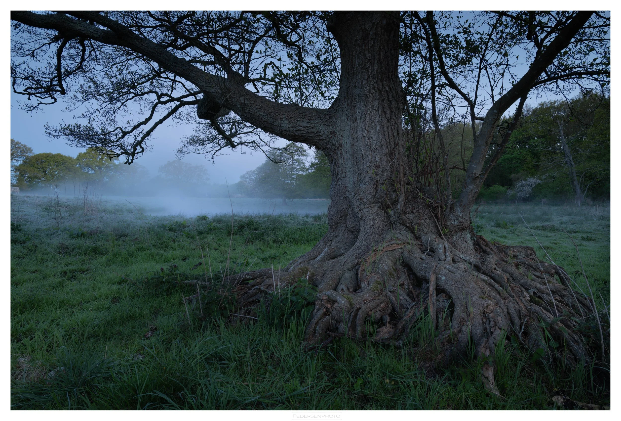 DSC_0428-Edit.jpg