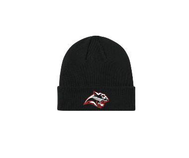Embroidered Beanie