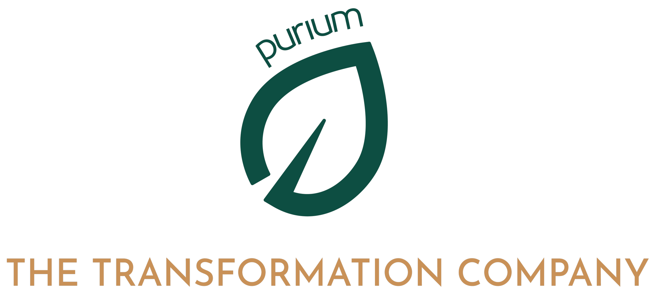 Logo of The Transformation Company featuring a stylized leaf with the company name underneath.