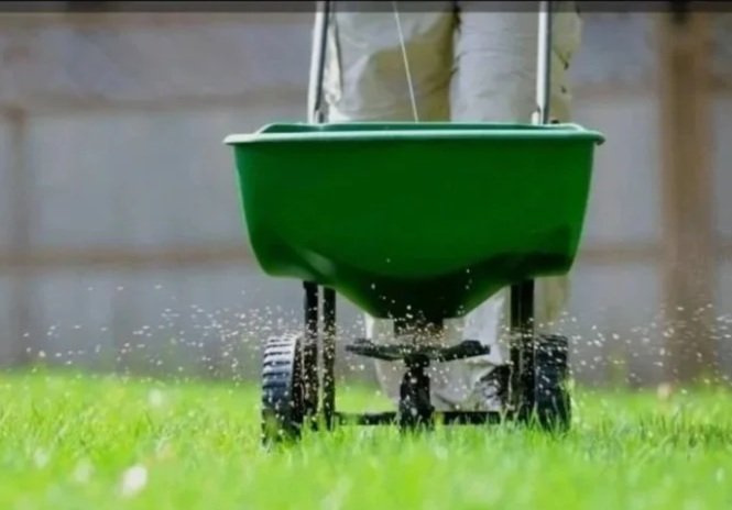 Lawn Fertilization