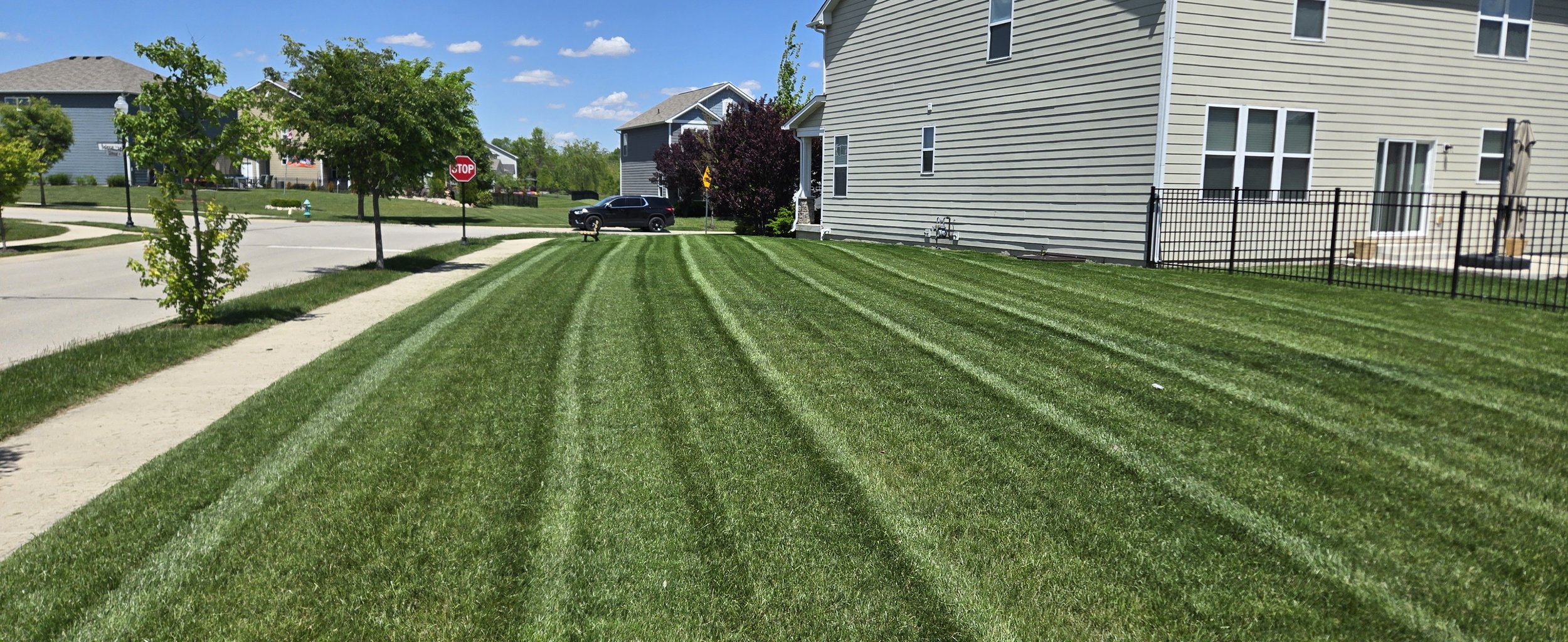 Lawn Mowing & Maintenance