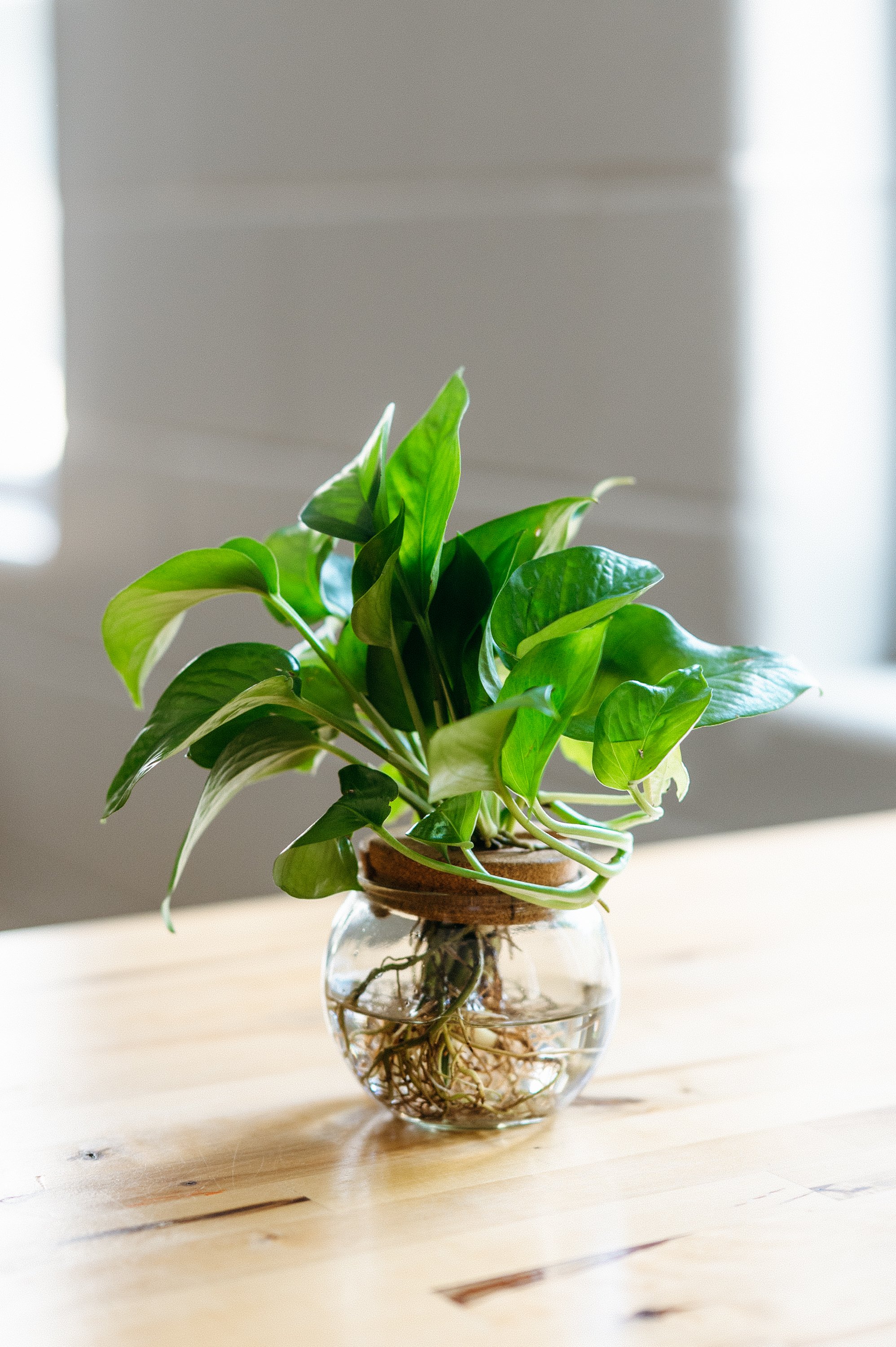 maryclairephoto_boldsprings-0115.jpg