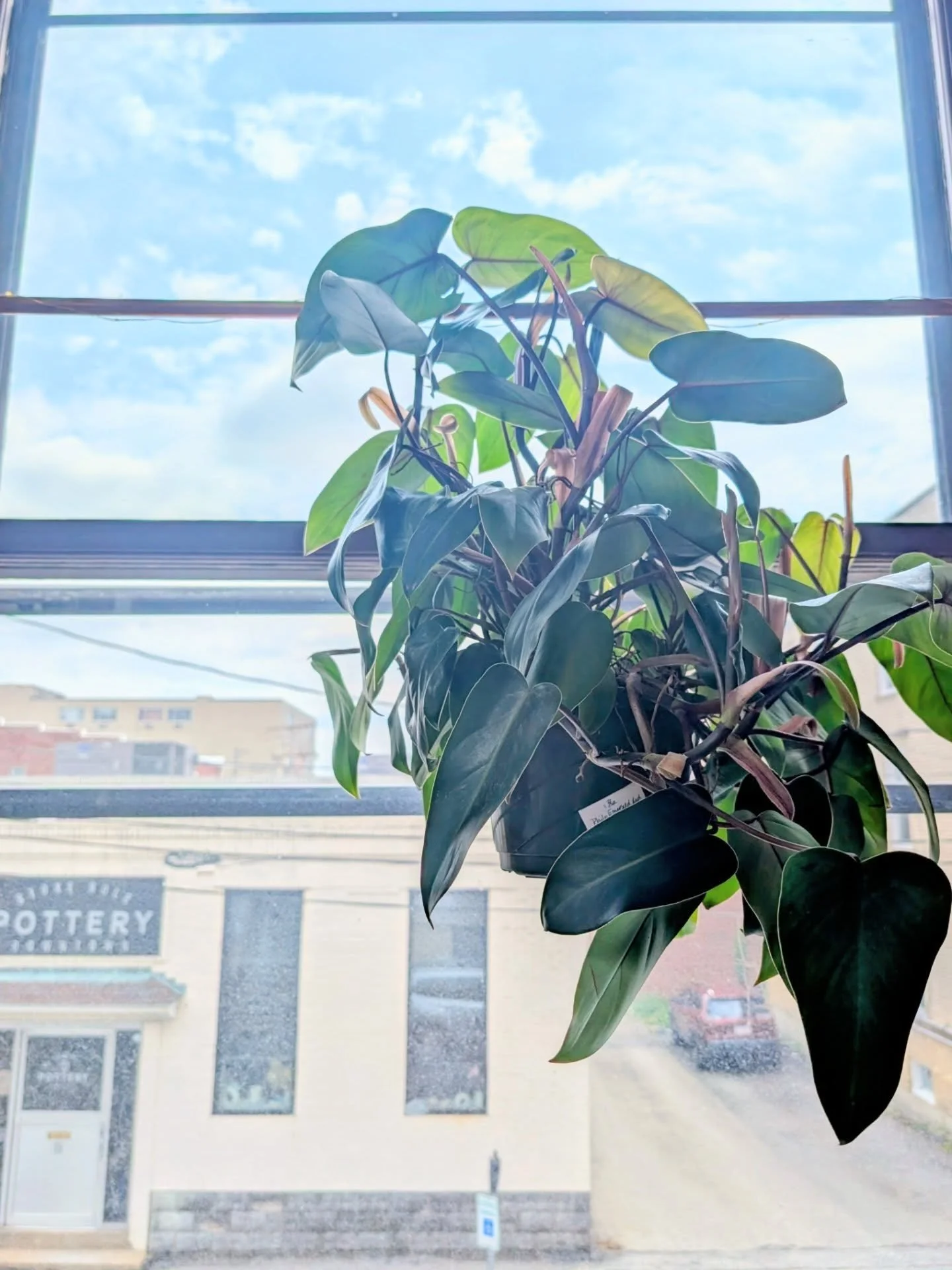 We are open for the week! Plants, @loneoakfarmpa baked goods, books, &amp; more for you to check out!