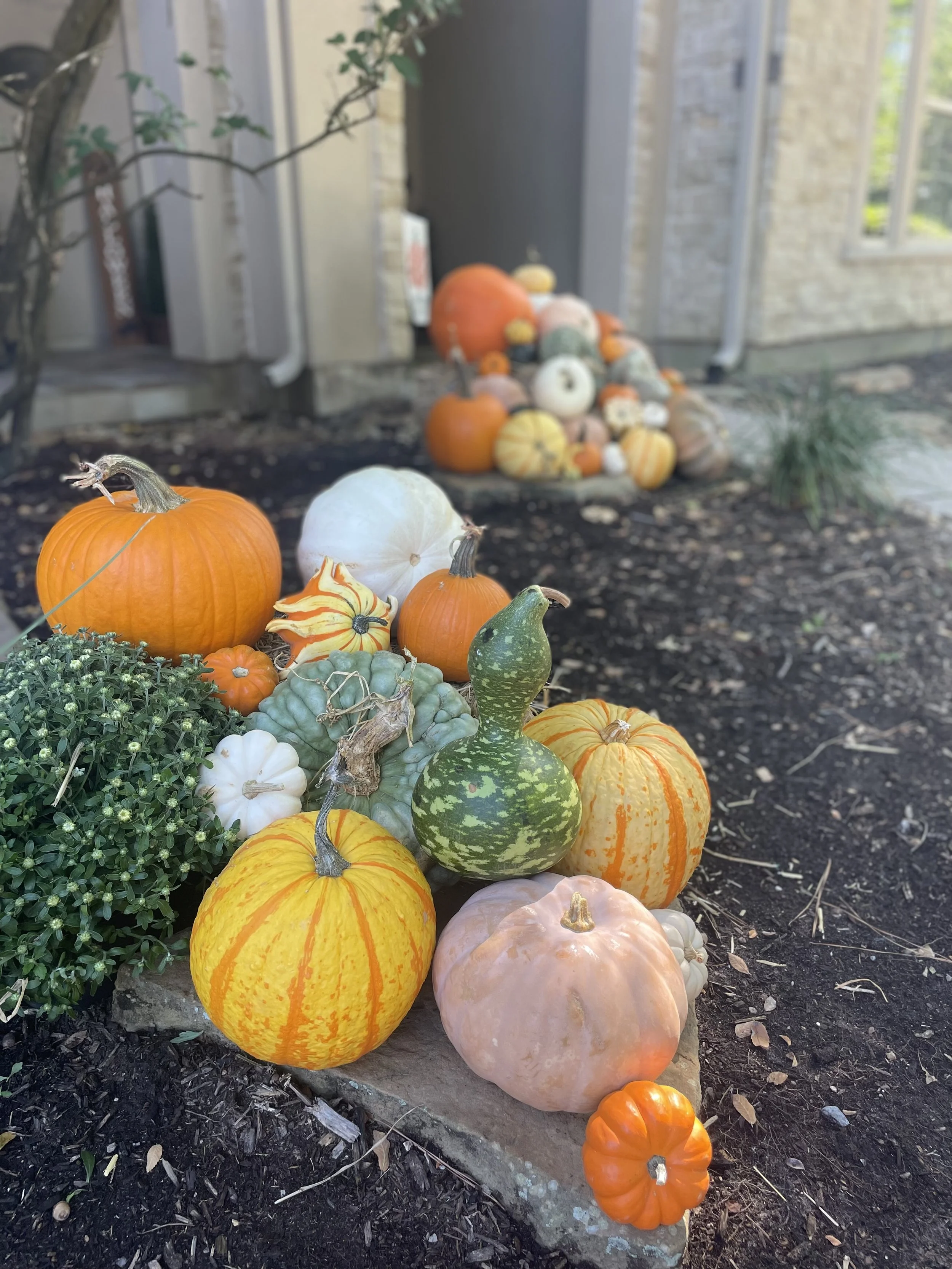 IMG_7317.jpeg