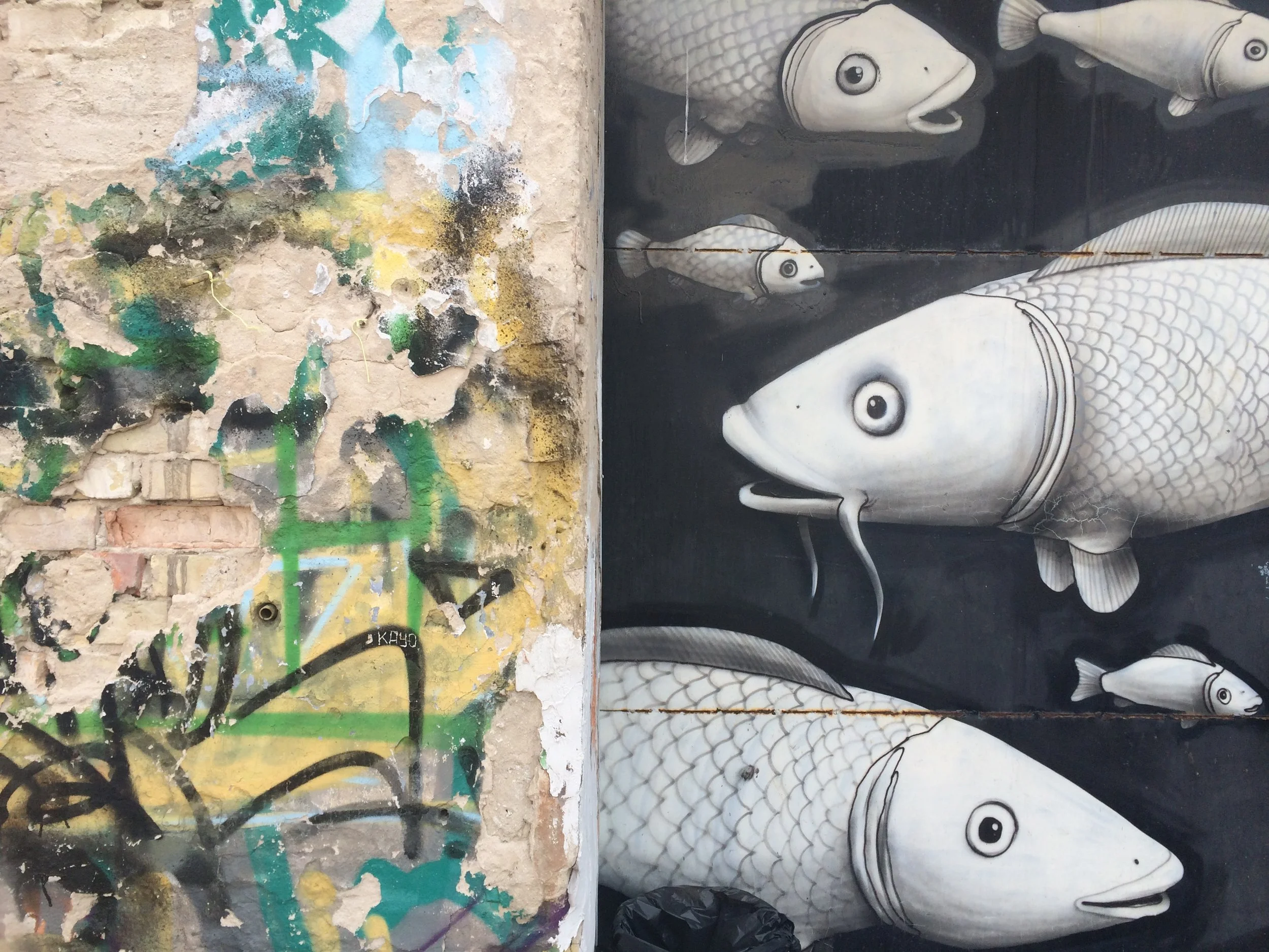 Abstract and carp graffiti in Kyiv, Ukraine