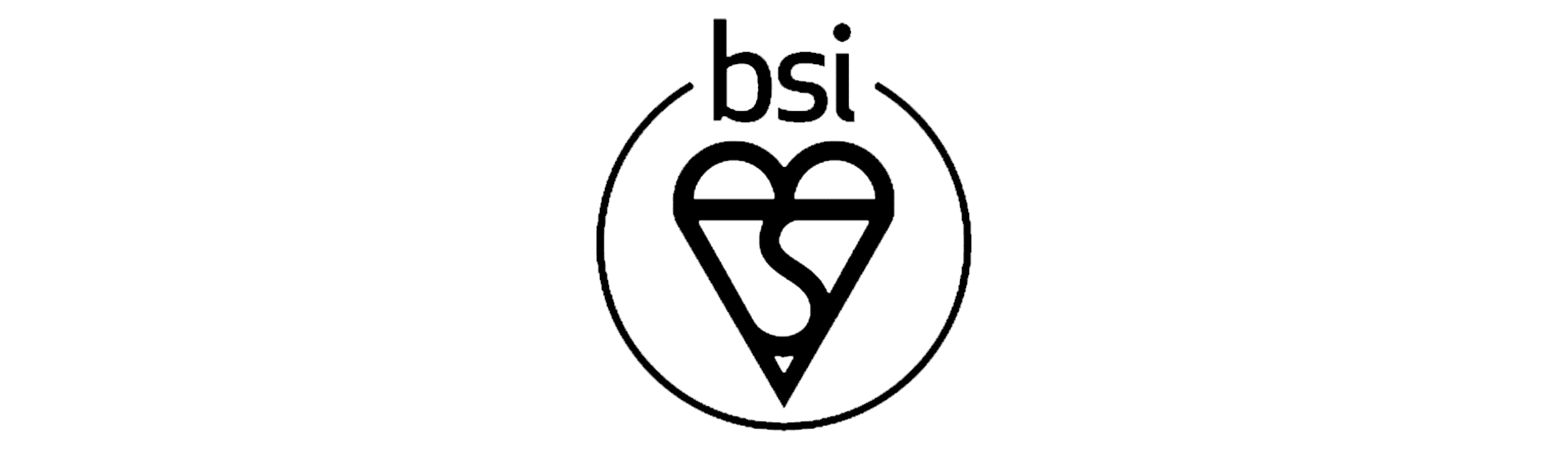 bsi final.png
