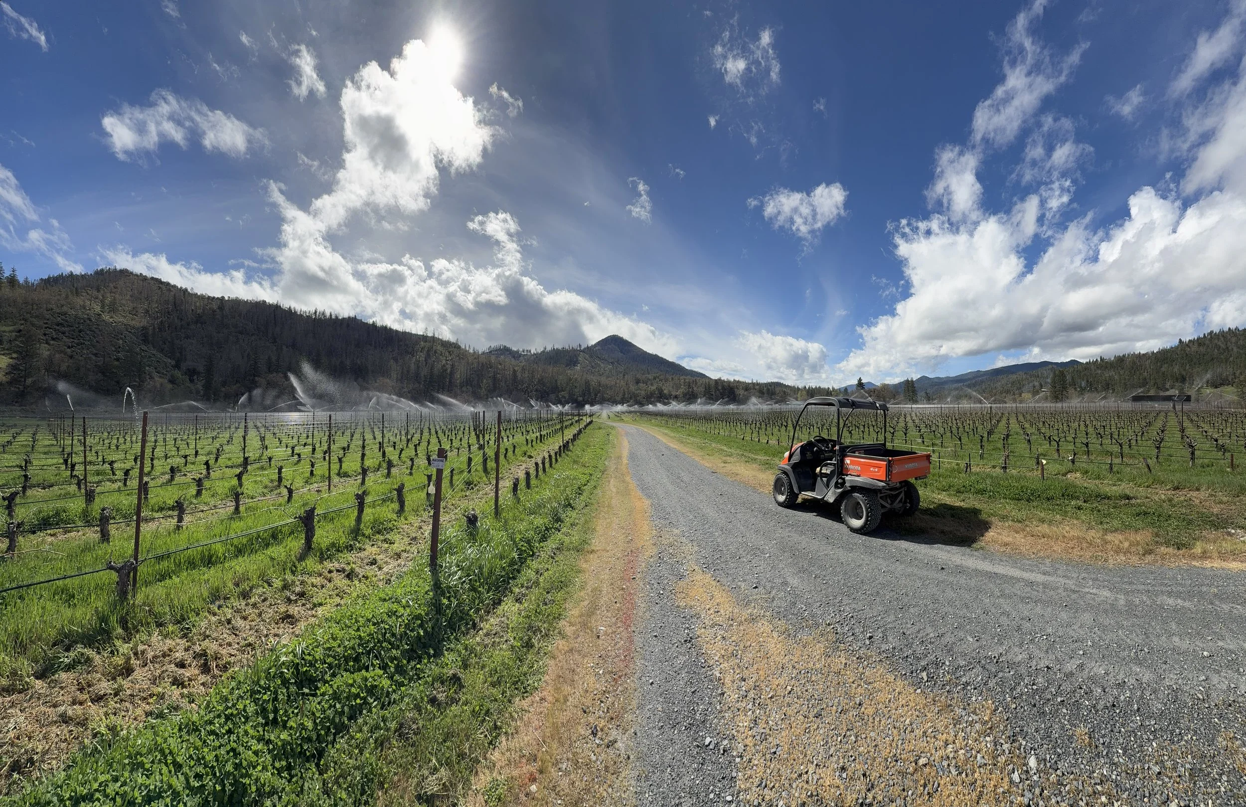 Vinyard frost system flushing in jacksonville 