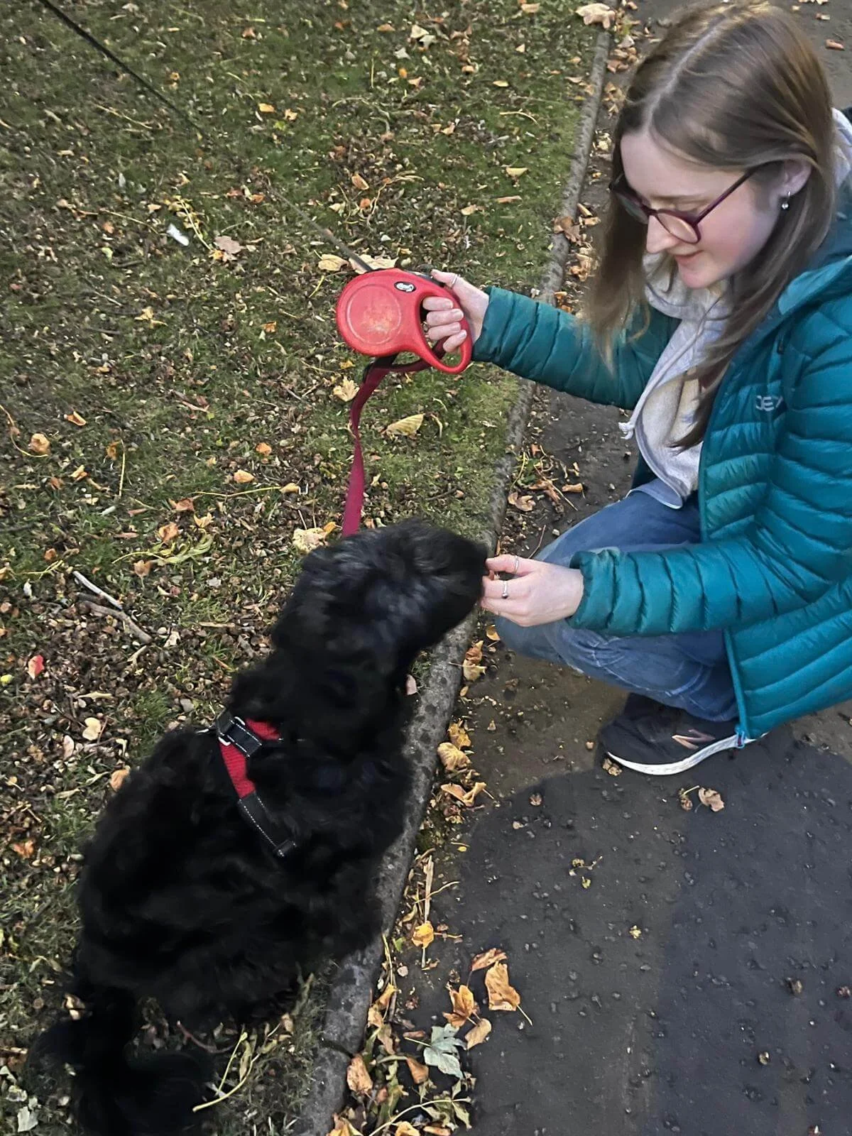 A dog walker walking two dogs at the weekend. She is giving one dog a treat while the other is off in the distance