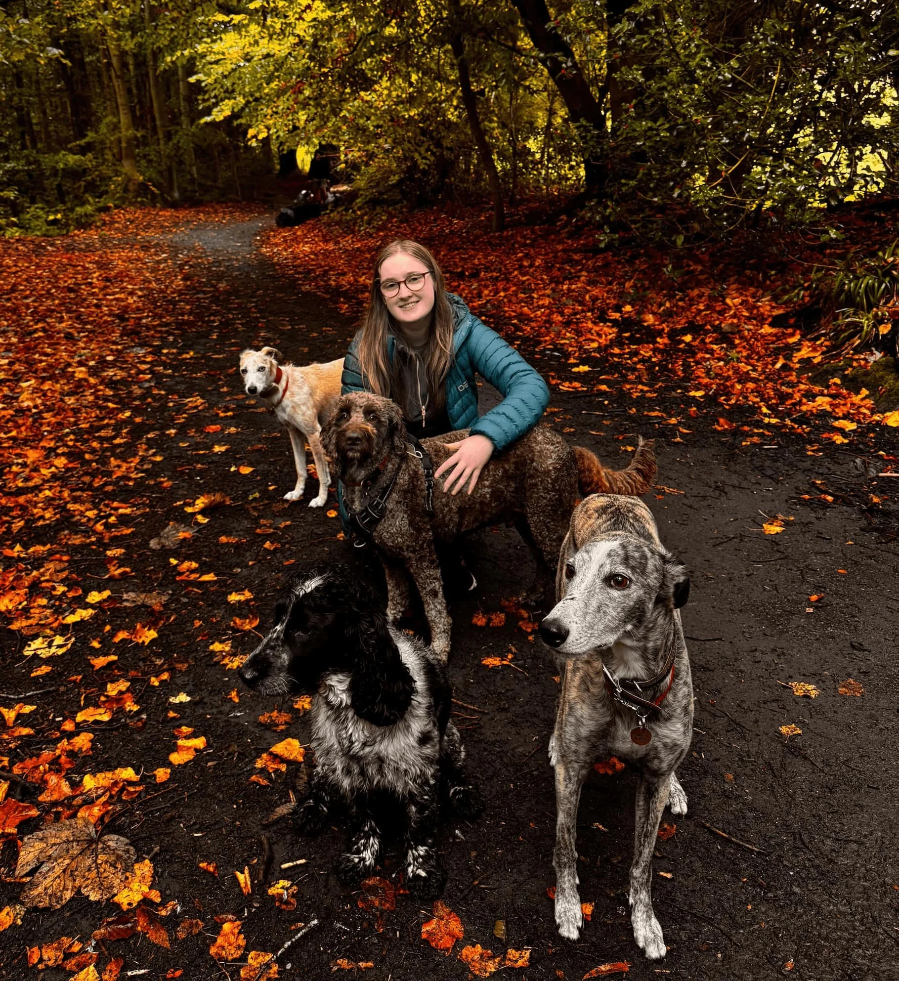 An Edinburgh dog walker with long hair and glasses posing with five dogs on a forest trail during autumn.