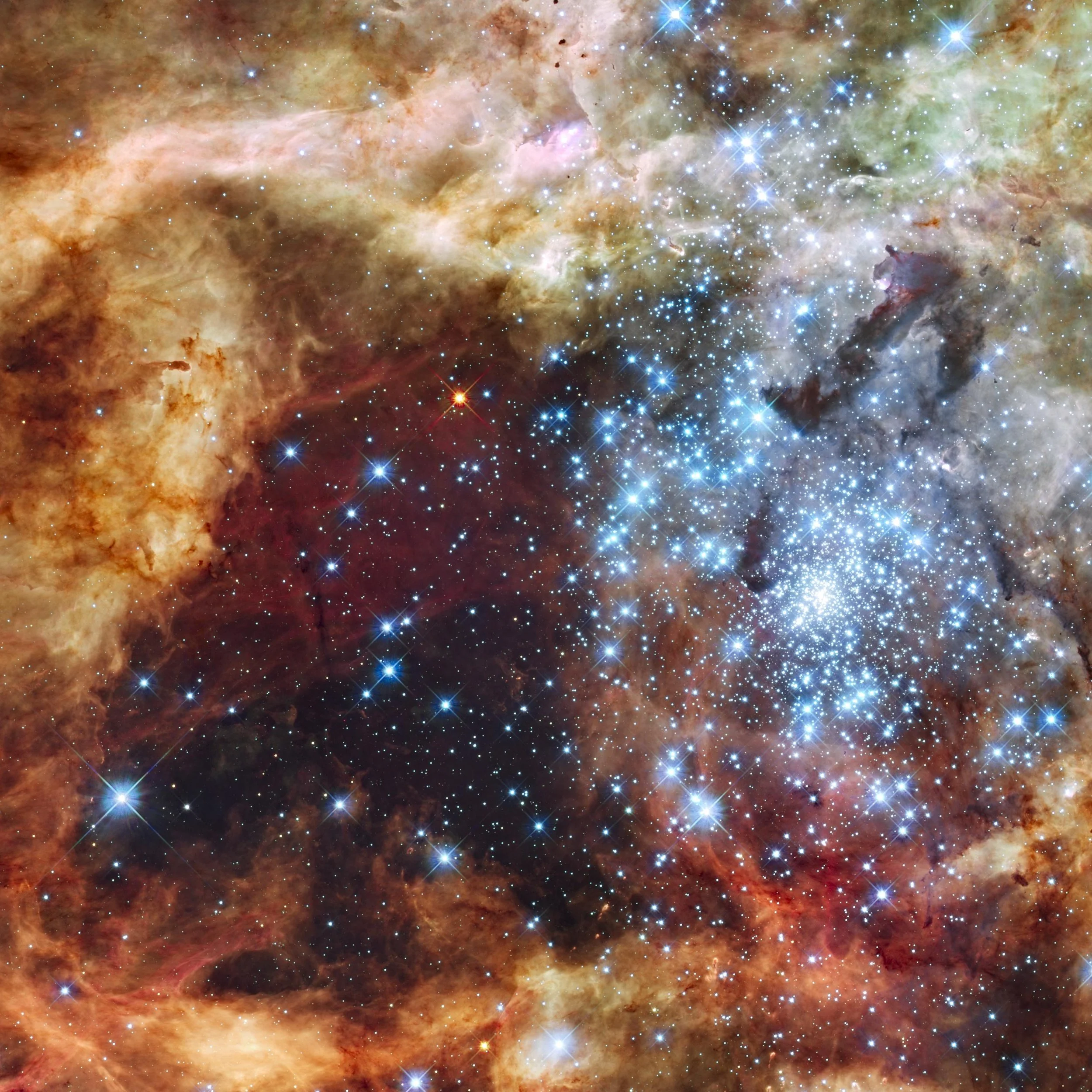 This Hubble Space Telescope image captures two clusters full of massive stars that may be in the early stages of merging.