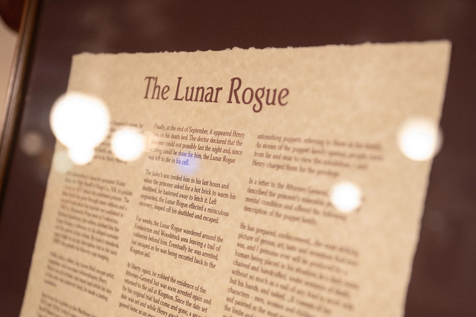 A close-up of a printed story titled "The Lunar Rogue" on a piece of parchment, with blurred lights reflected on the surface.