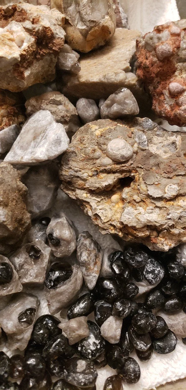 627157192_1687309915932251_3026684085838815119_n (1).jpg