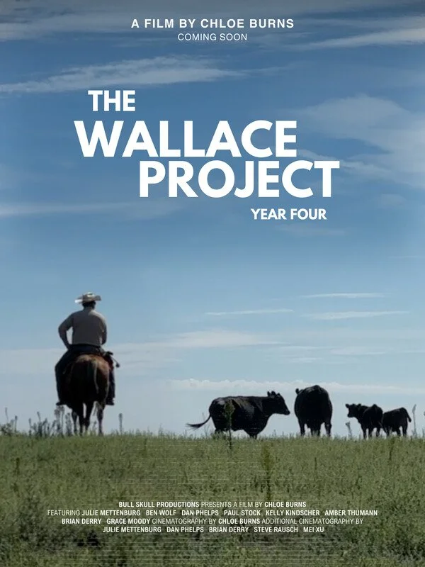 The Wallace Project: Year Four