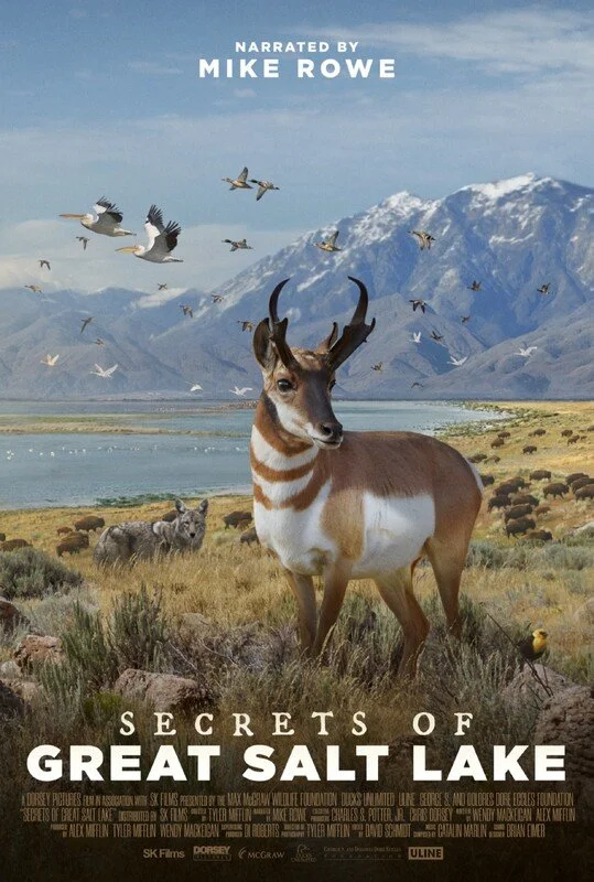 Secrets of Great Salt Lake