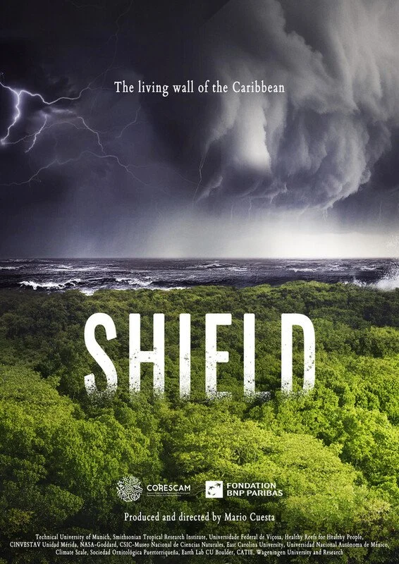 Shield. The living wall of the Caribbean