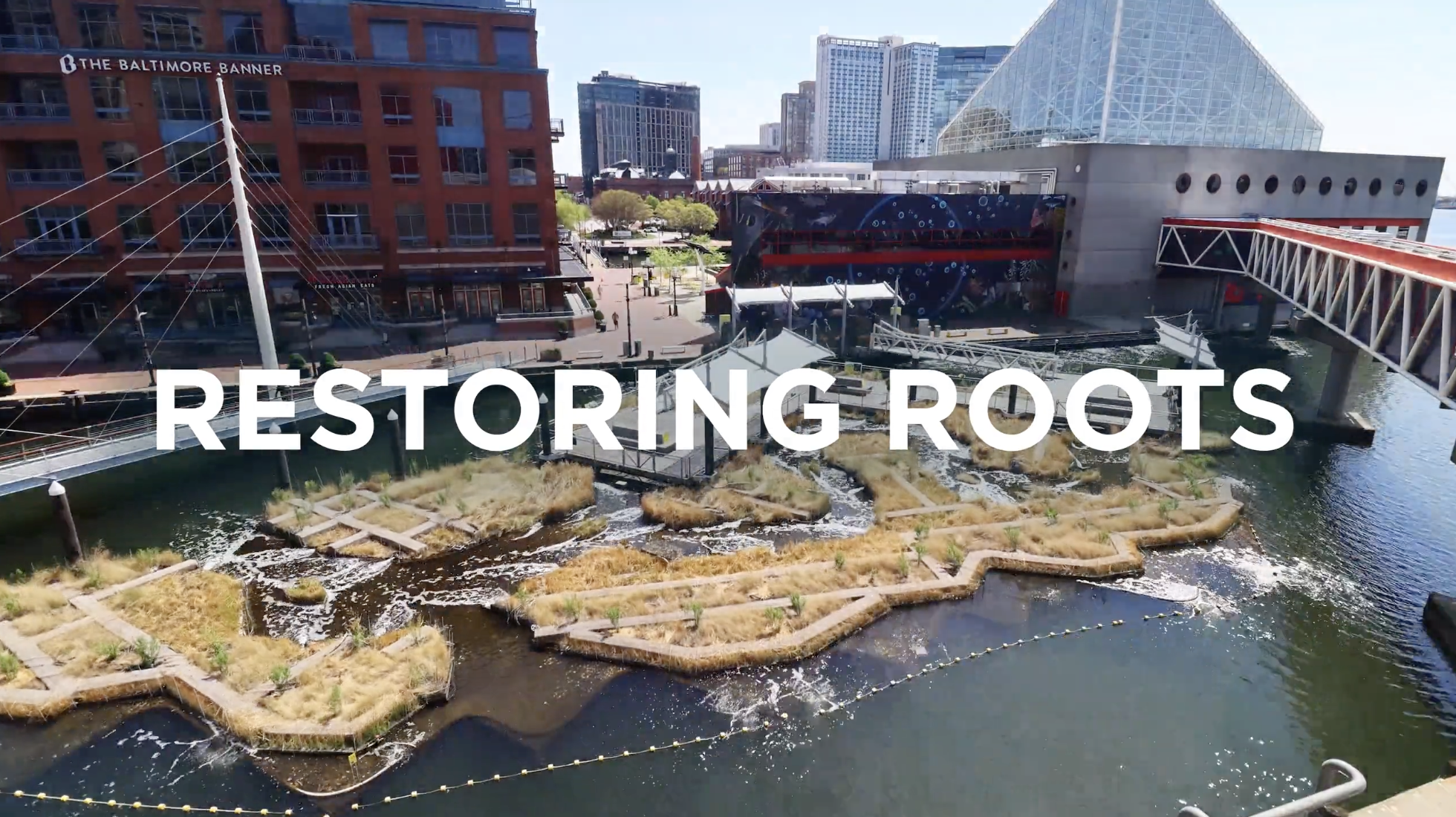 Restoring Roots