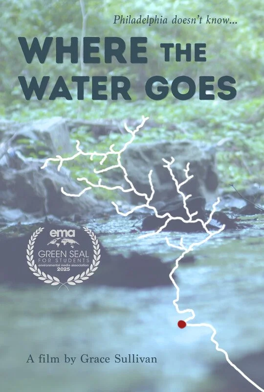 Where the Water Goes