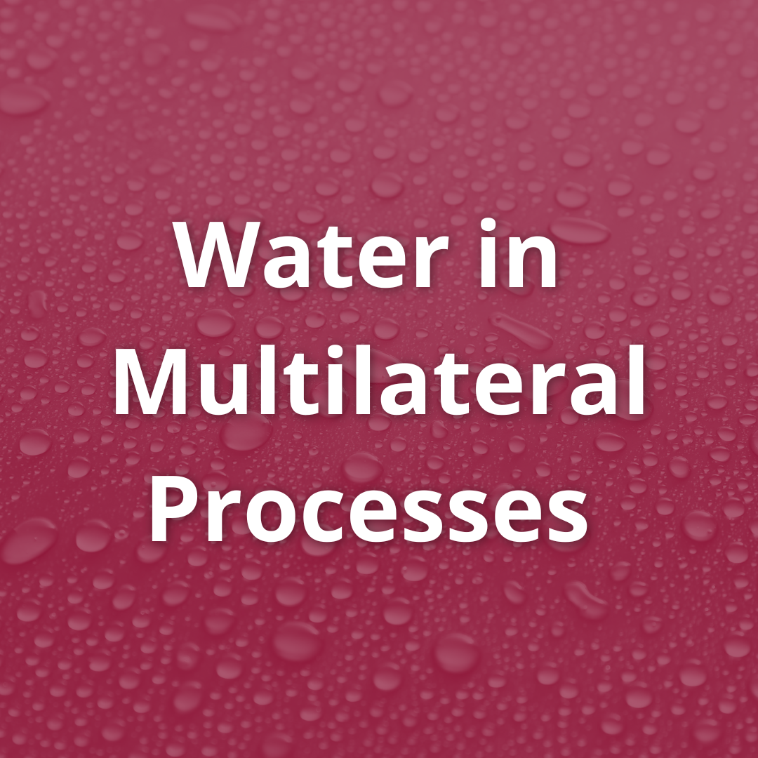 Water in Multilateral Processes .png