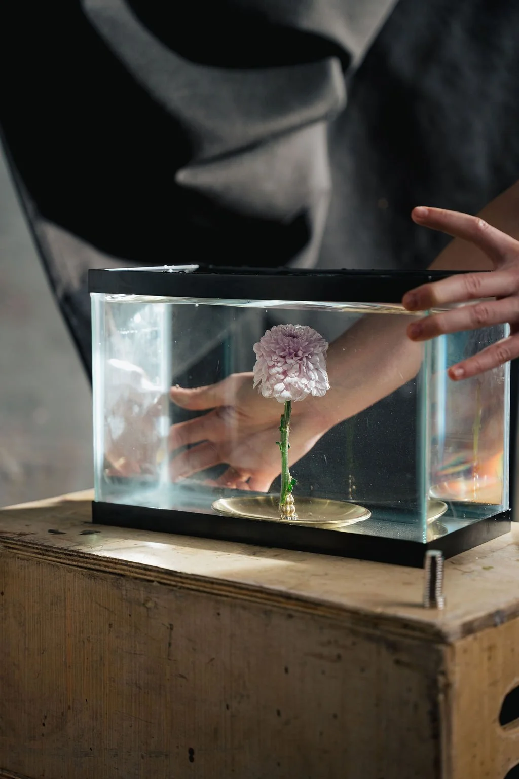 DSC06898-12.jpg