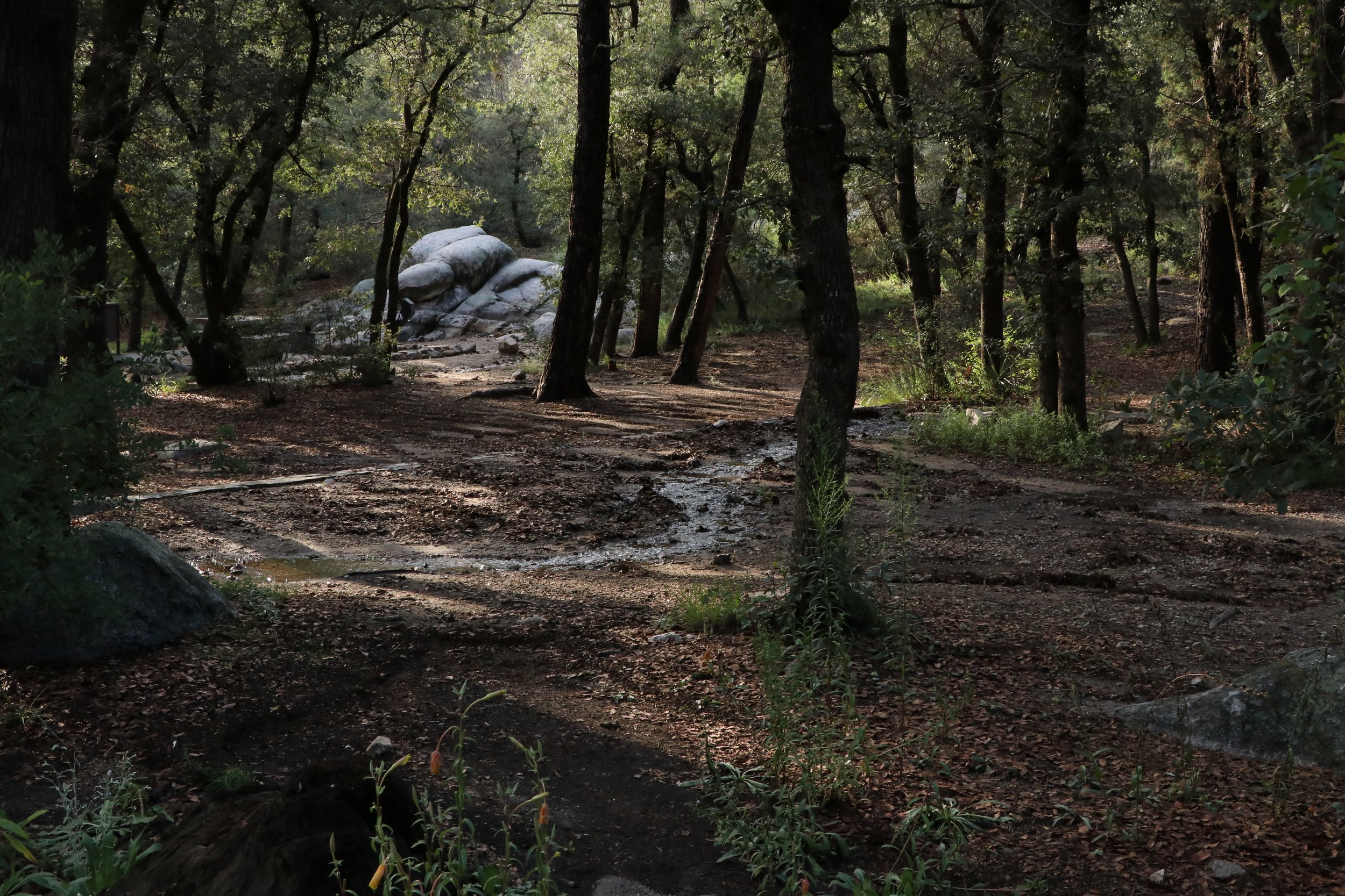 IMG_0103.JPG