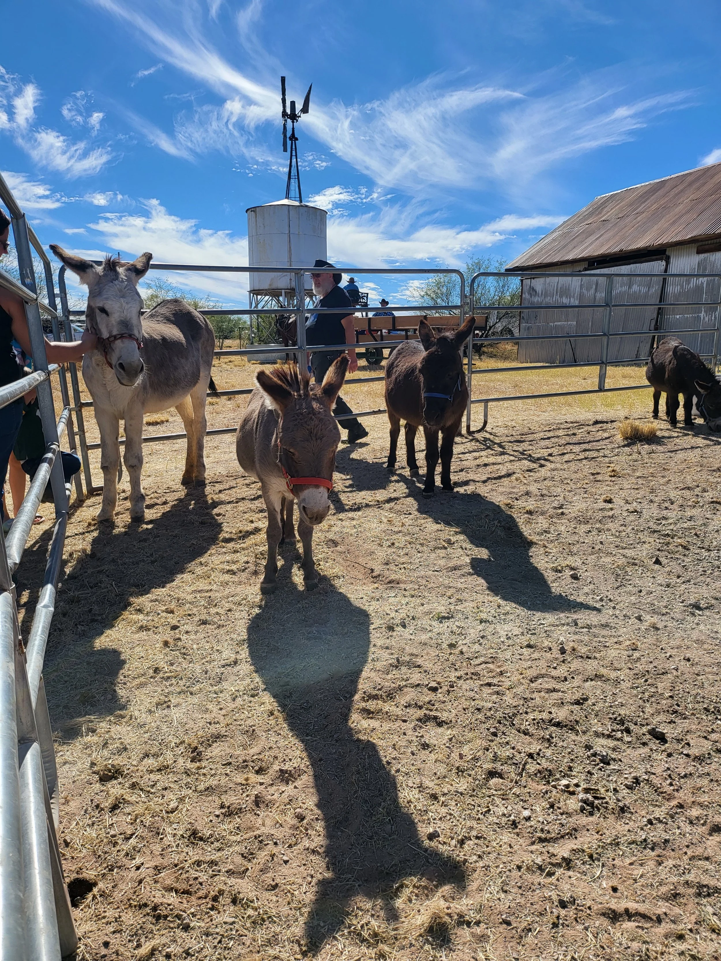Empire Ranch Cowboy Festival